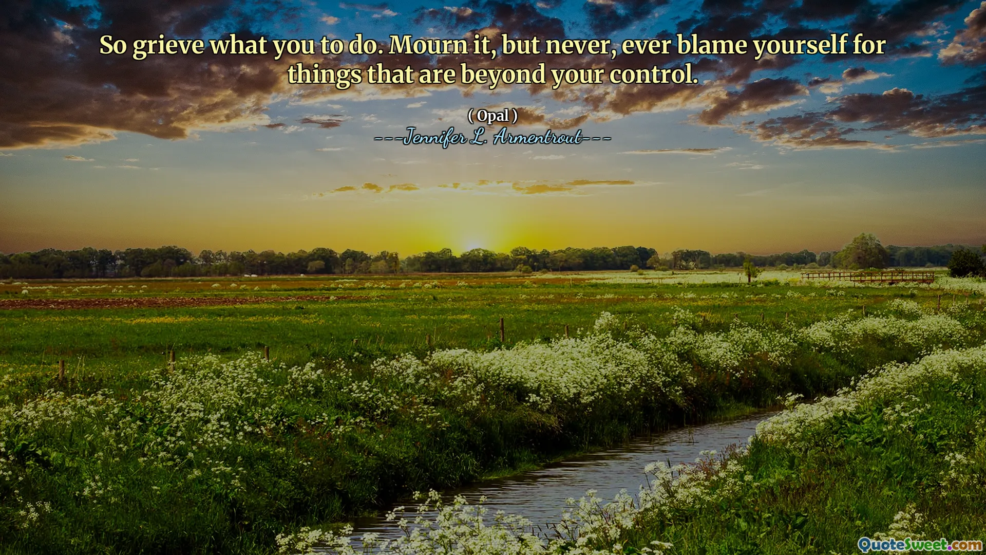 So grieve what you to do. Mourn it, but never, ever blame yourself for things that are beyond your control.