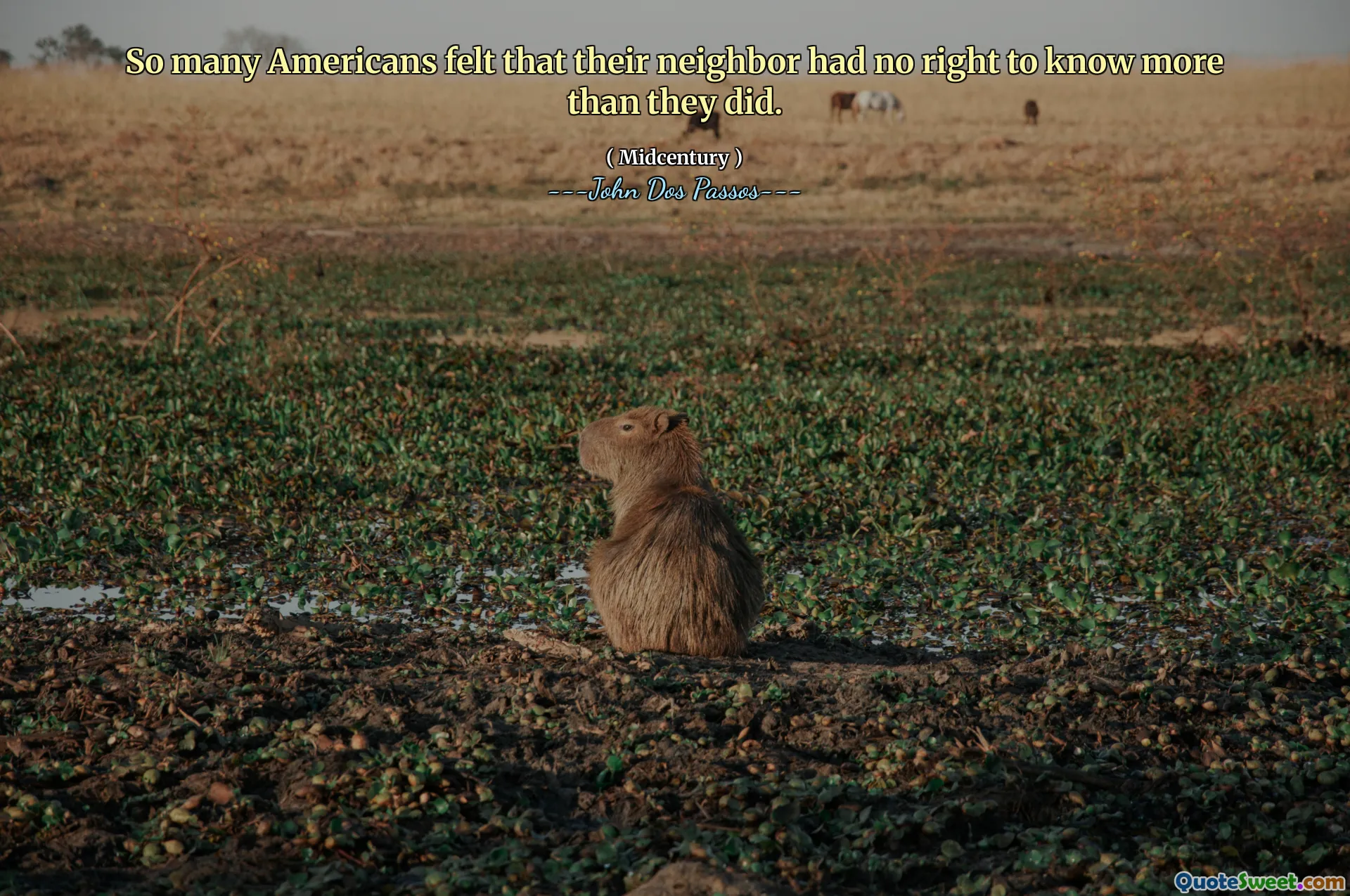 Så många amerikaner ansåg att deras granne inte hade någon rätt att veta mer än de gjorde.