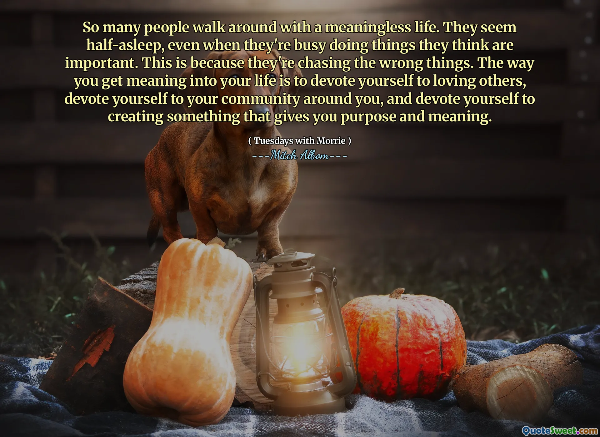 Så många människor går runt med ett meningslöst liv. De verkar halvt sovande, även när de är upptagna med att göra saker de tycker är viktiga. Det beror på att de jagar fel saker. Hur du får mening i ditt liv är att ägna dig åt att älska andra, ägna dig åt ditt samhälle runt dig och ägna dig åt att skapa något som ger dig syfte och mening.