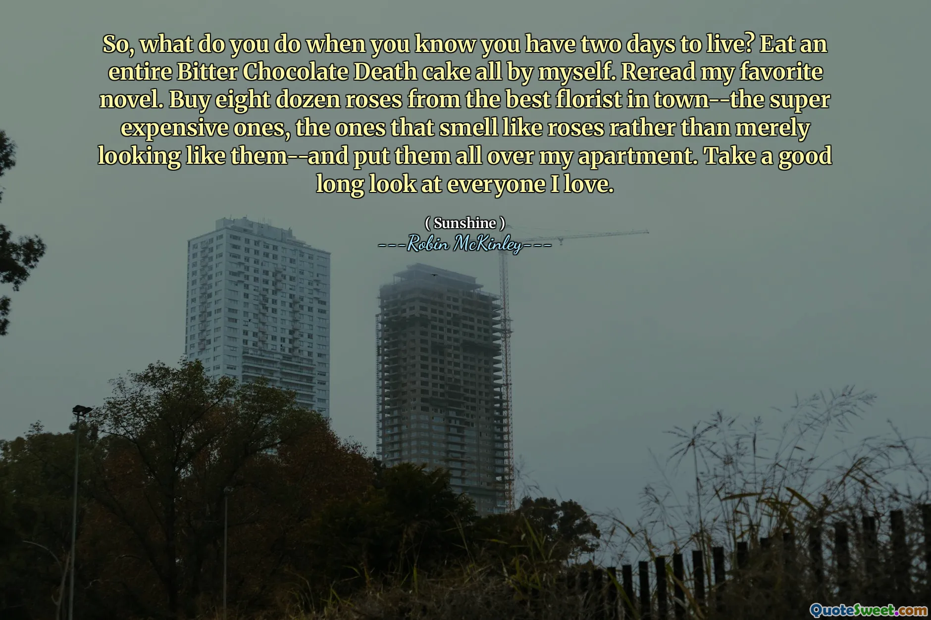 So, what do you do when you know you have two days to live? Eat an entire Bitter Chocolate Death cake all by myself. Reread my favorite novel. Buy eight dozen roses from the best florist in town--the super expensive ones, the ones that smell like roses rather than merely looking like them--and put them all over my apartment. Take a good long look at everyone I love.