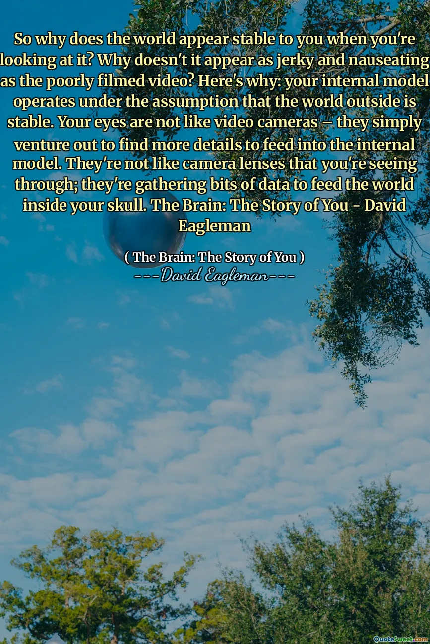 So why does the world appear stable to you when you're looking at it? Why doesn't it appear as jerky and nauseating as the poorly filmed video? Here's why: your internal model operates under the assumption that the world outside is stable. Your eyes are not like video cameras – they simply venture out to find more details to feed into the internal model. They're not like camera lenses that you're seeing through; they're gathering bits of data to feed the world inside your skull. The Brain: The Story of You - David Eagleman