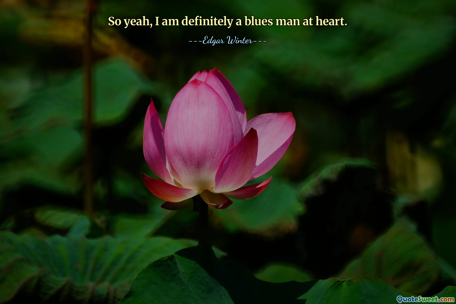 तो हाँ, मैं निश्चित रूप से दिल से एक उदास आदमी हूँ।