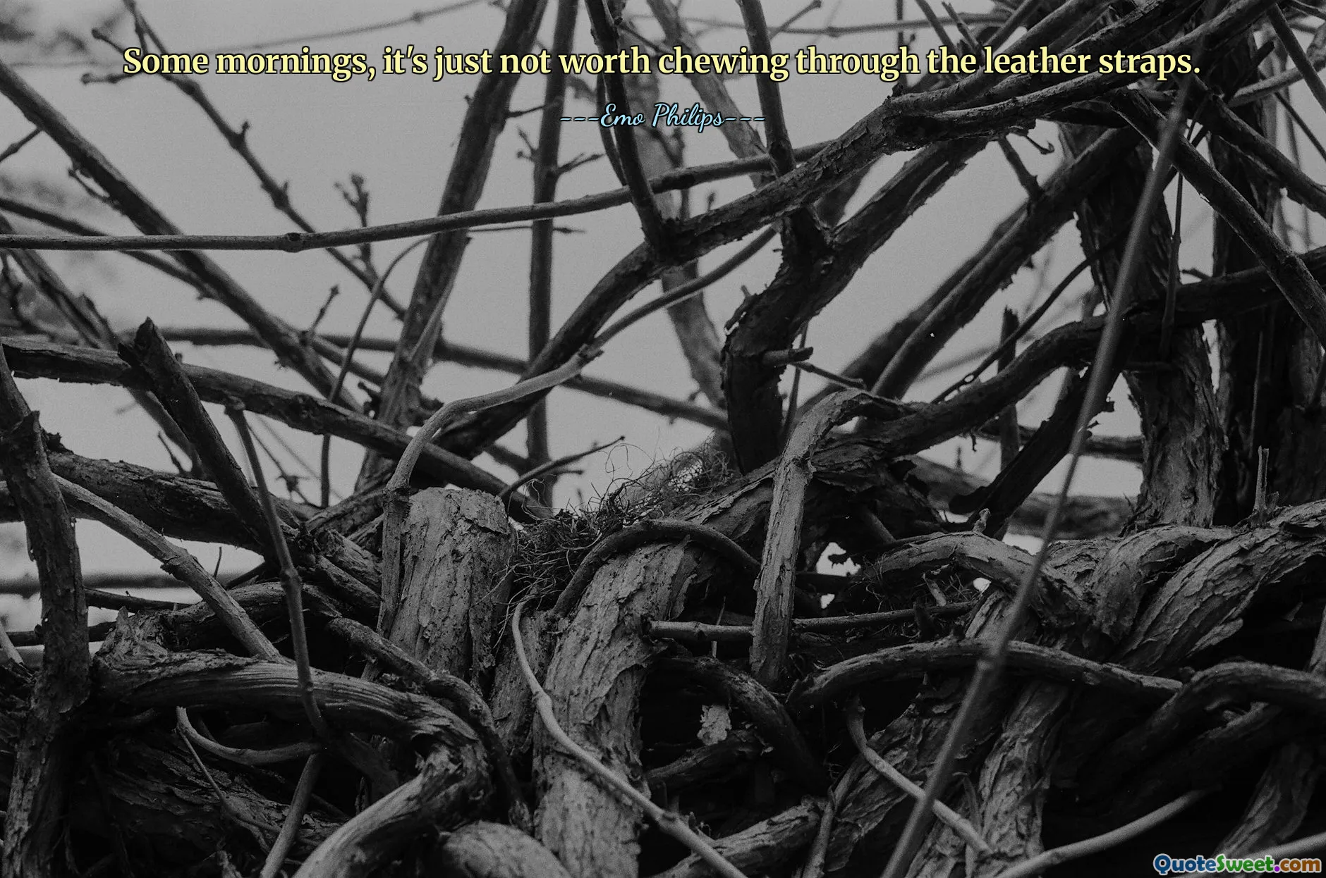 Some mornings, it's just not worth chewing through the leather straps.