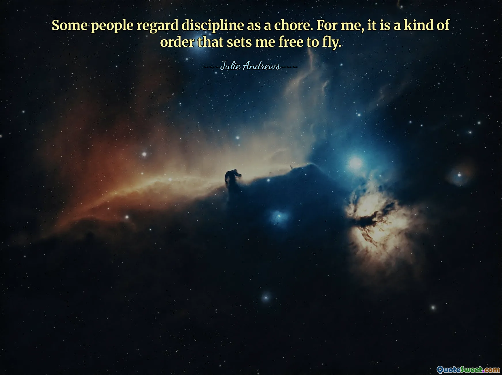 Some people regard discipline as a chore. For me, it is a kind of order that sets me free to fly.