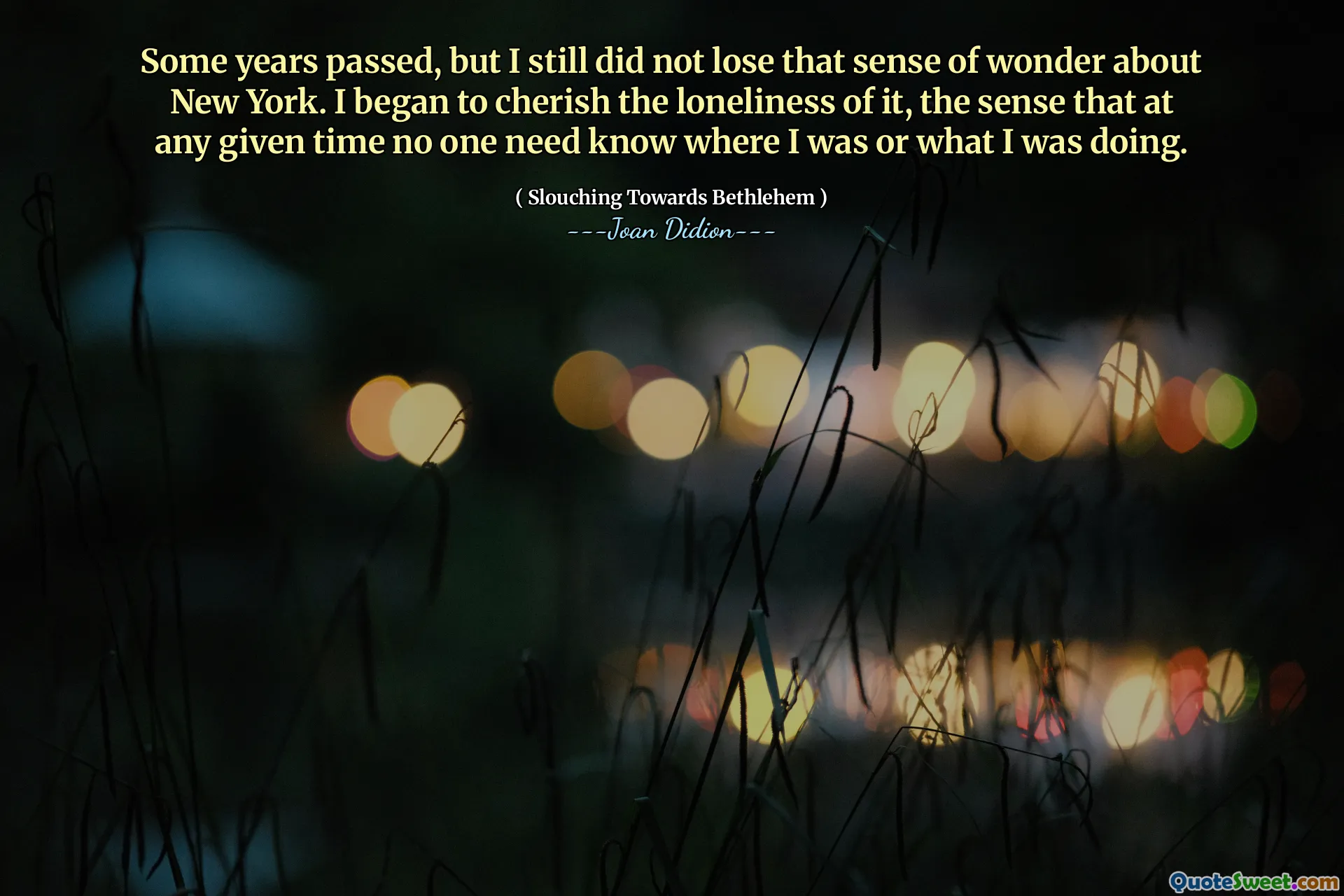 Vài năm trôi qua, nhưng tôi vẫn không mất cảm giác tự hỏi về New York. Tôi bắt đầu trân trọng sự cô đơn của nó, cảm giác rằng tại bất kỳ thời điểm nào, không ai cần biết tôi đang ở đâu hoặc tôi đang làm gì.