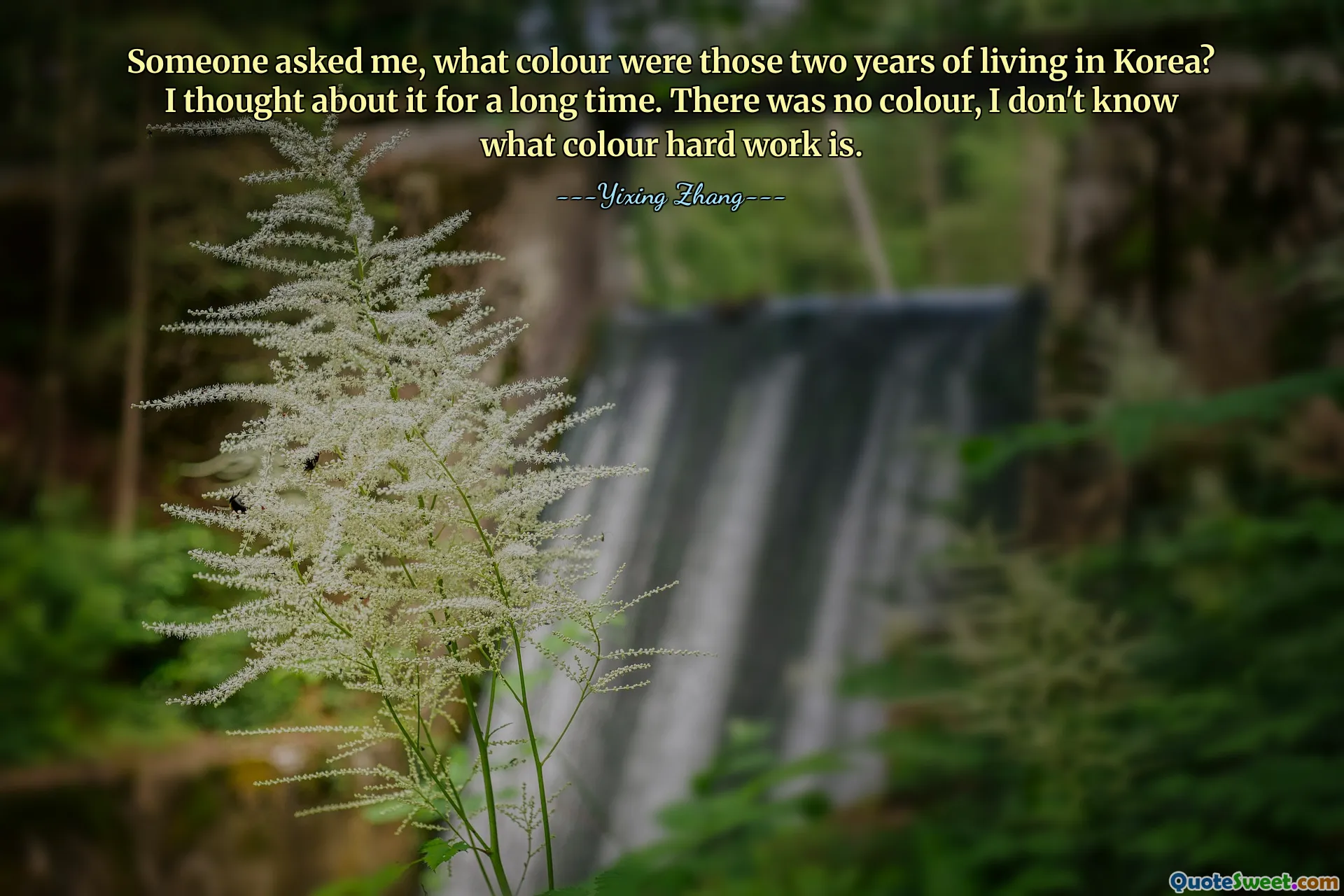 Someone asked me, what colour were those two years of living in Korea? I thought about it for a long time. There was no colour, I don't know what colour hard work is.