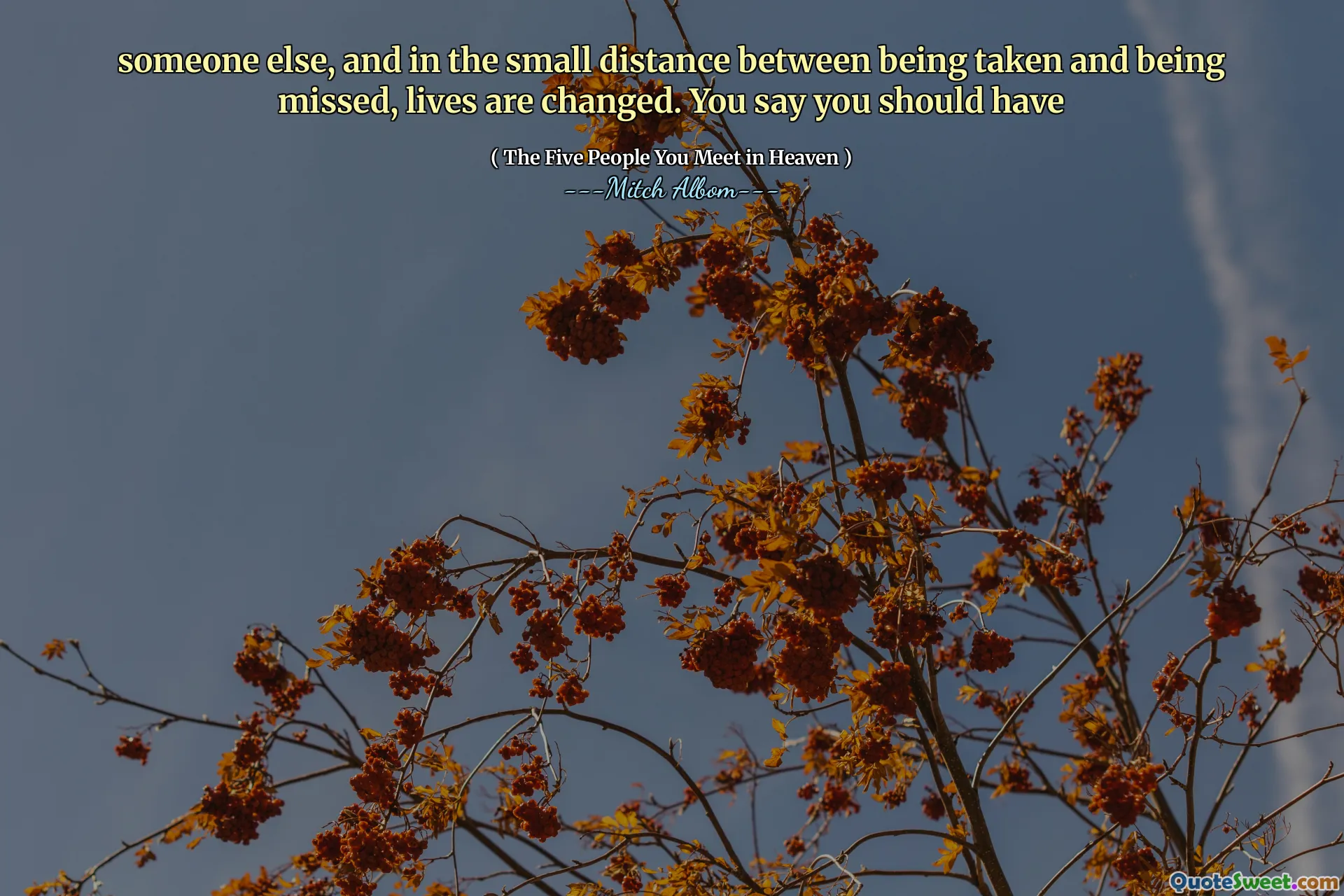 其他人，在被捕捞和被错过之间的距离很小的距离中，生活发生了变化。你说你应该有