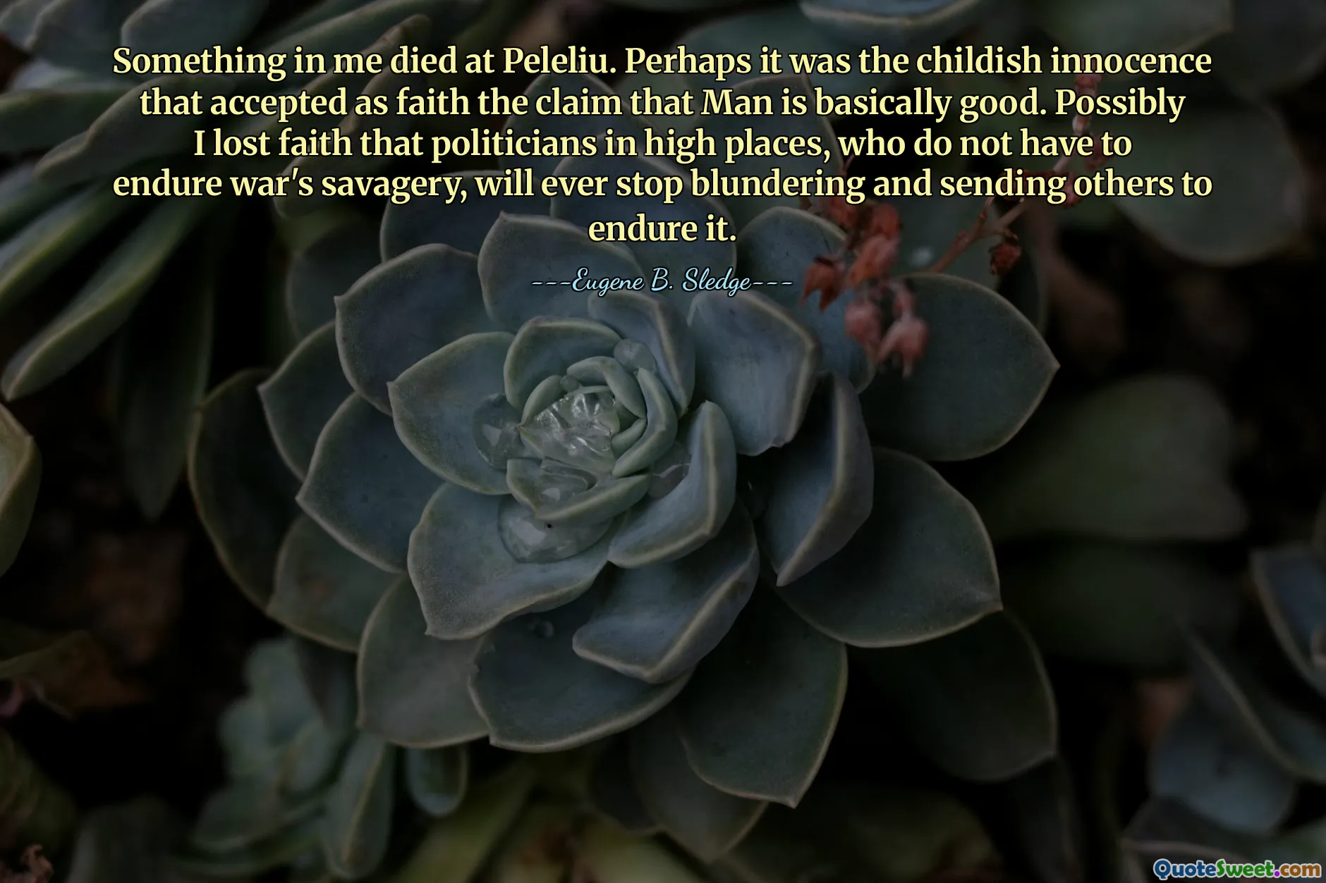 Something in me died at Peleliu. Perhaps it was the childish innocence that accepted as faith the claim that Man is basically good. Possibly I lost faith that politicians in high places, who do not have to endure war's savagery, will ever stop blundering and sending others to endure it.