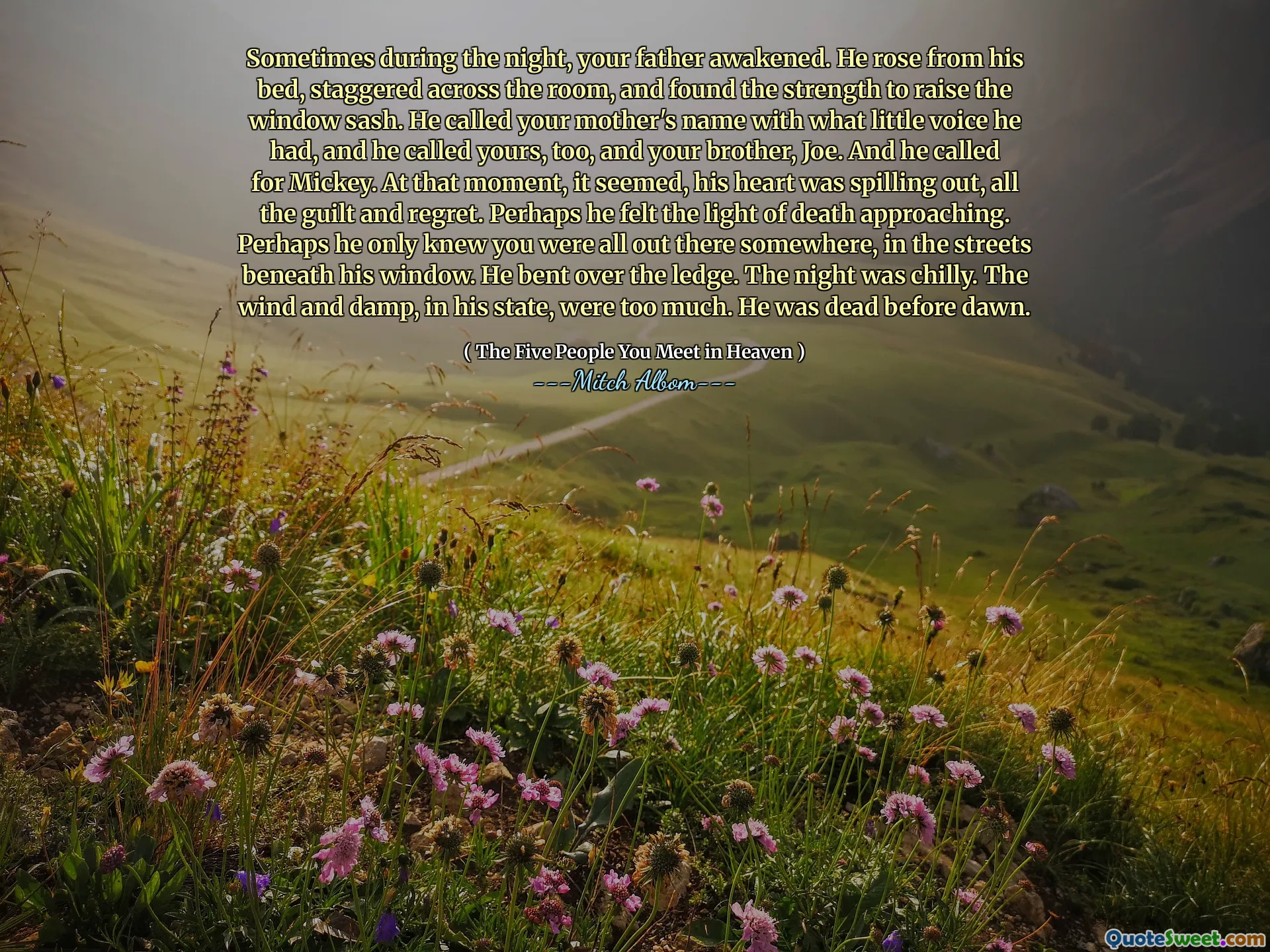 Soms werd je vader 's nachts wakker. Hij stond op uit zijn bed, strompelde over de kamer en vond de kracht om de raamvleugel op te heffen. Hij noemde de naam van je moeder met de kleine stem die hij had, en hij noemde ook de jouwe, en je broer, Joe. En hij riep Mickey op. Op dat moment leek het erop dat zijn hart wegmaakte, alle schuldgevoelens en spijt. Misschien voelde hij het licht van de dood naderen. Misschien wist hij alleen maar dat jullie daar allemaal ergens waren, in de straten onder zijn raam. Hij boog zich over de richel. De nacht was koud. De wind en vocht, in zijn staat, waren teveel. Hij was dood voor het ochtendgloren.