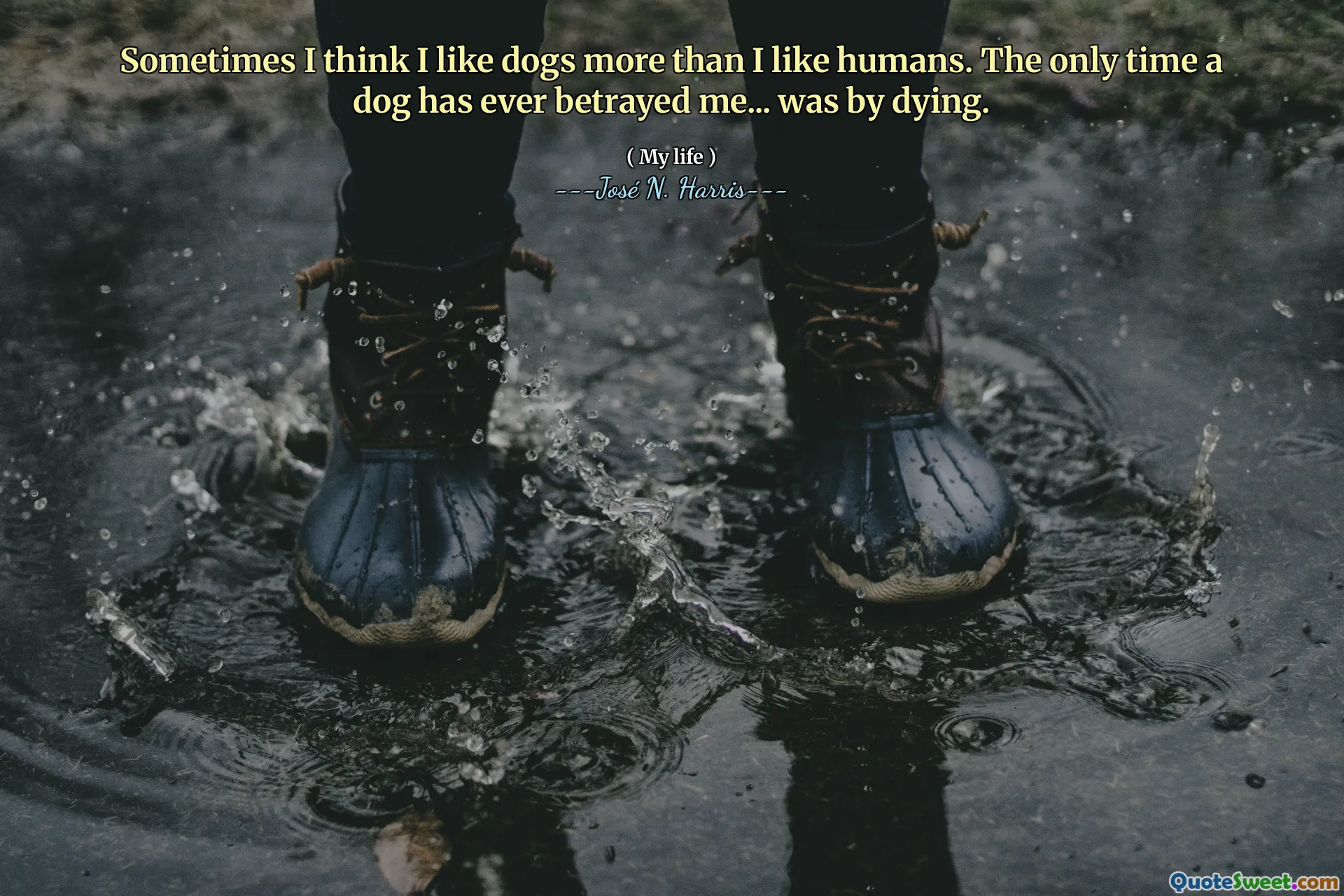 Sometimes I think I like dogs more than I like humans. The only time a dog has ever betrayed me... was by dying.