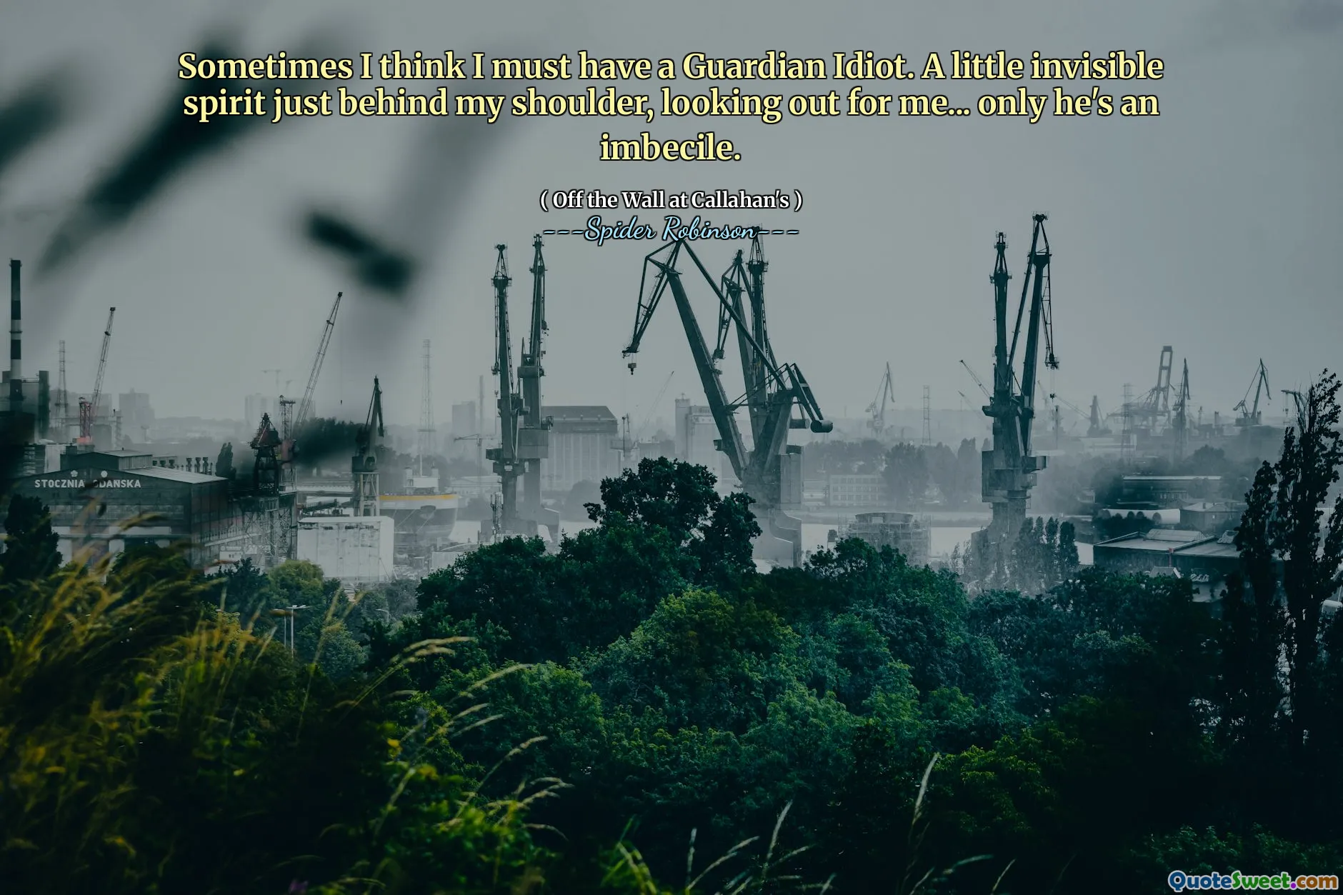 Sometimes I think I must have a Guardian Idiot. A little invisible spirit just behind my shoulder, looking out for me... only he's an imbecile.