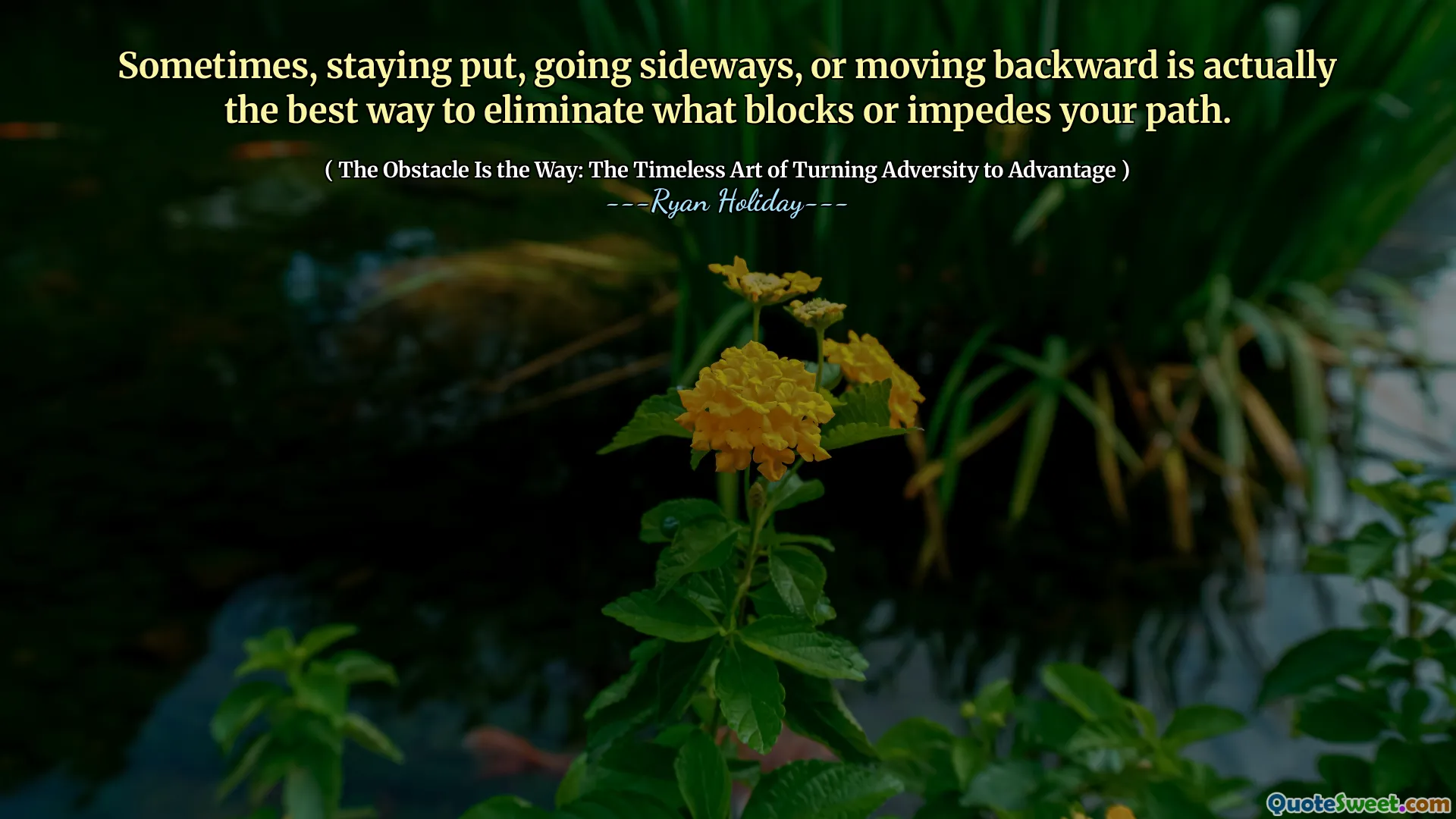 Sometimes, staying put, going sideways, or moving backward is actually the best way to eliminate what blocks or impedes your path.