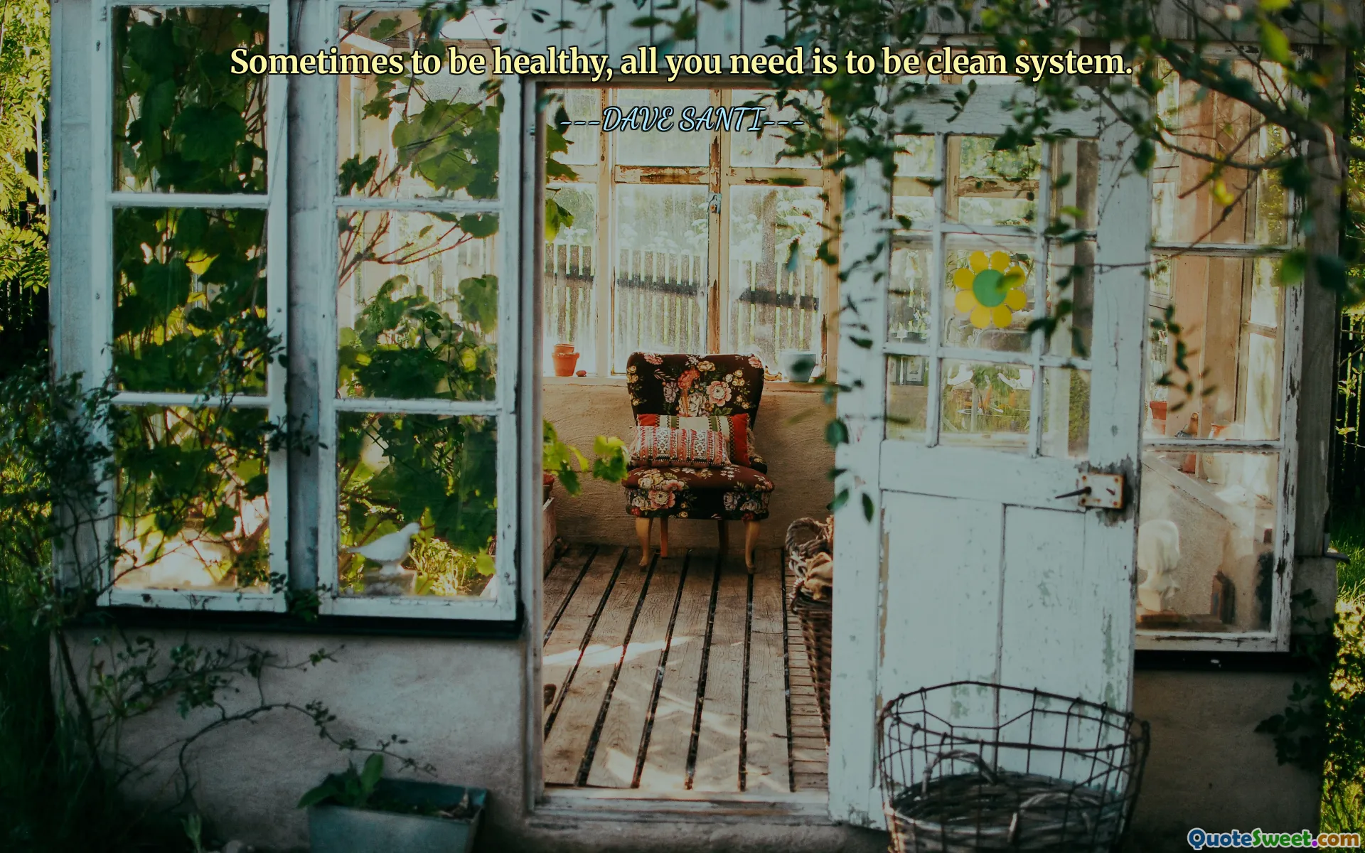 Sometimes to be healthy, all you need is to be clean system.