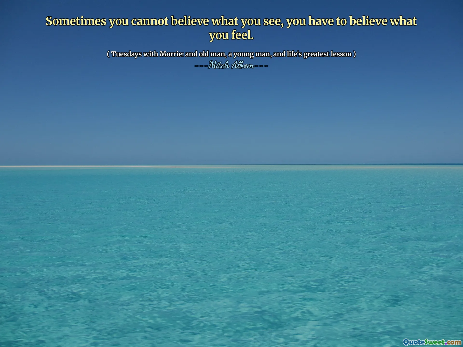 有时您无法相信自己看到的，您必须相信自己的感受。