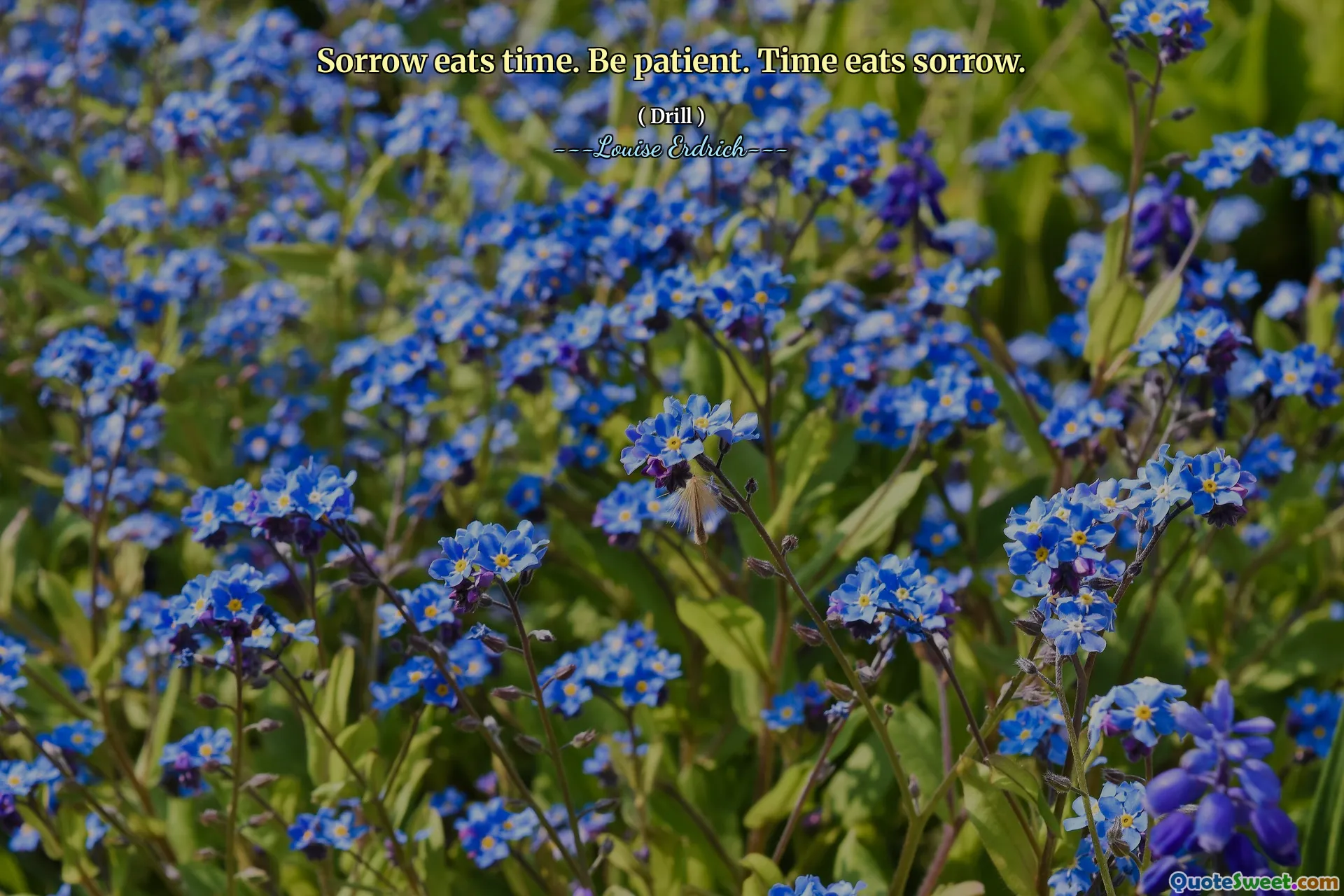 Sorrow eats time. Be patient. Time eats sorrow.