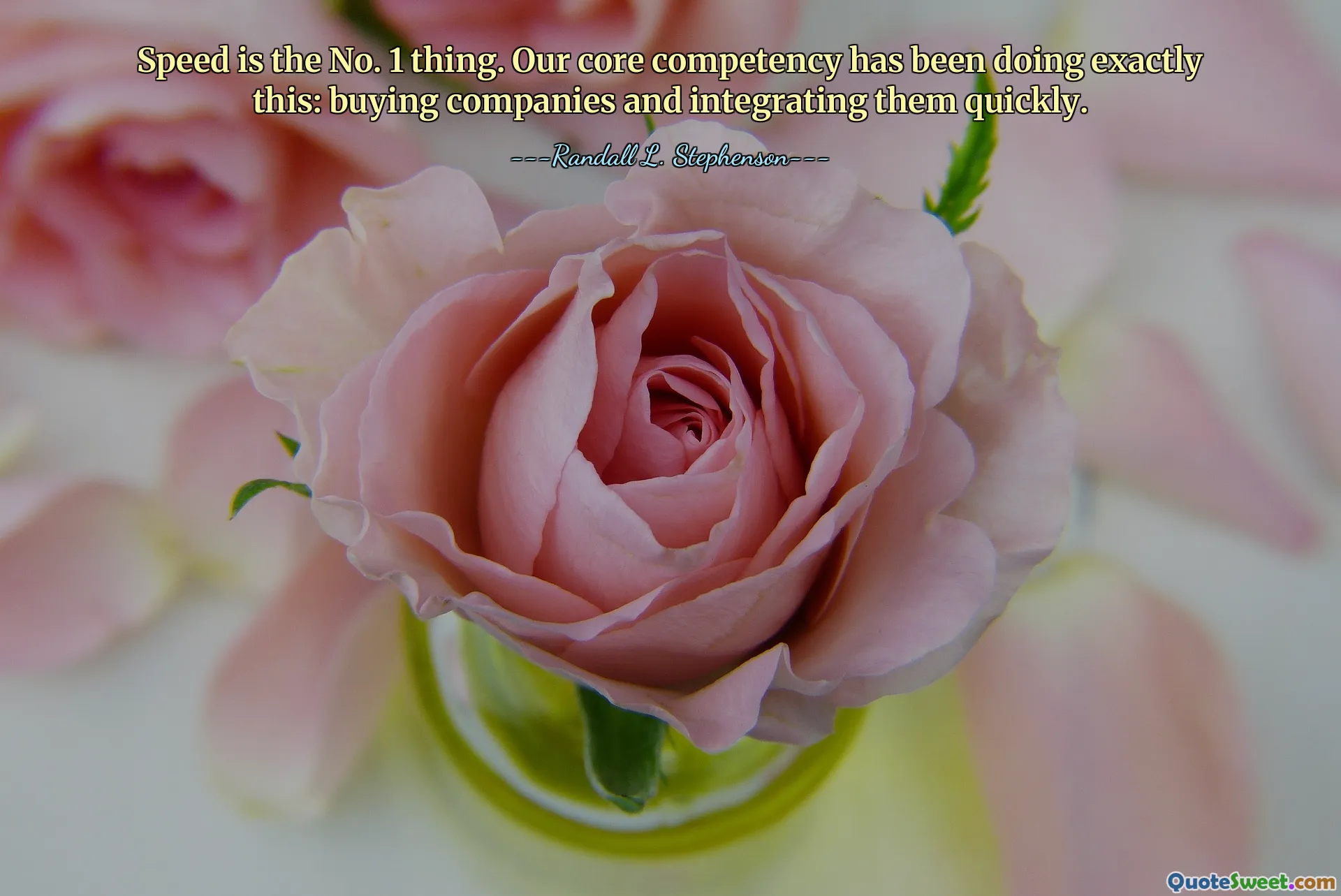 Speed is the No. 1 thing. Our core competency has been doing exactly this: buying companies and integrating them quickly.