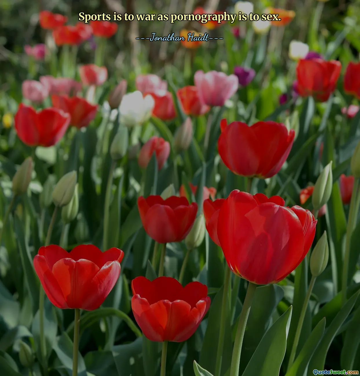 Sports is to war as pornography is to sex.