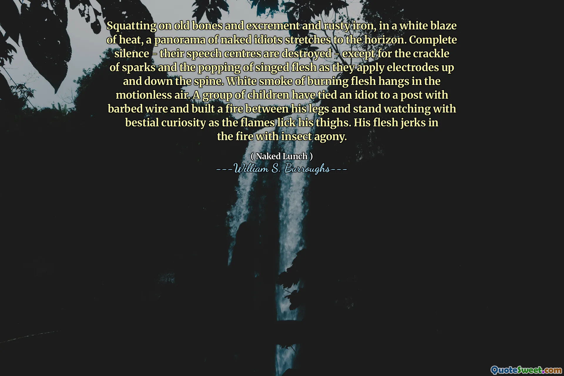 Hocke auf alte Knochen und Exkremente und rostiges Eisen, in einem weißen Hitzeschall, ein Panorama nackter Idioten erstreckt sich bis zum Horizont. Vollständige Stille - ihre Sprachzentren werden zerstört - bis auf das Knistern von Funken und das Knallen des gesungenen Fleisches, wenn sie die Elektroden auf und ab den Wirbelsäulen auf und ab auftragen. Der weiße Rauch aus brennendem Fleisch hängt in der bewegungslosen Luft. Eine Gruppe von Kindern hat einen Idioten an einen Pfosten mit Stacheldraht gebunden und ein Feuer zwischen seinen Beinen gebaut und mit bestialischer Neugier beobachtet, während die Flammen seine Schenkel lecken. Sein Fleisch zuckt mit Insektenquälungen im Feuer.
