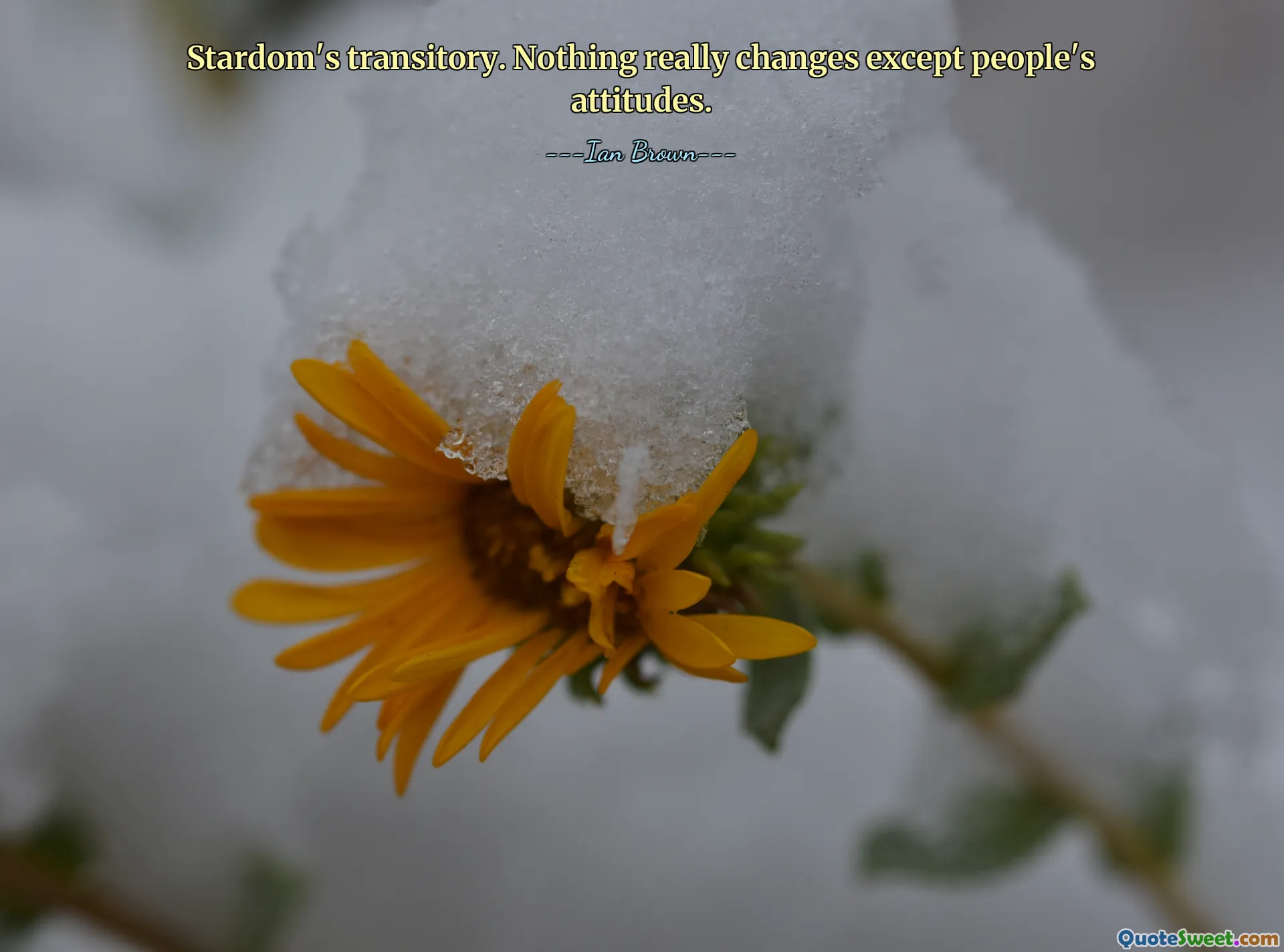 Stardom's transitory. Nothing really changes except people's attitudes.