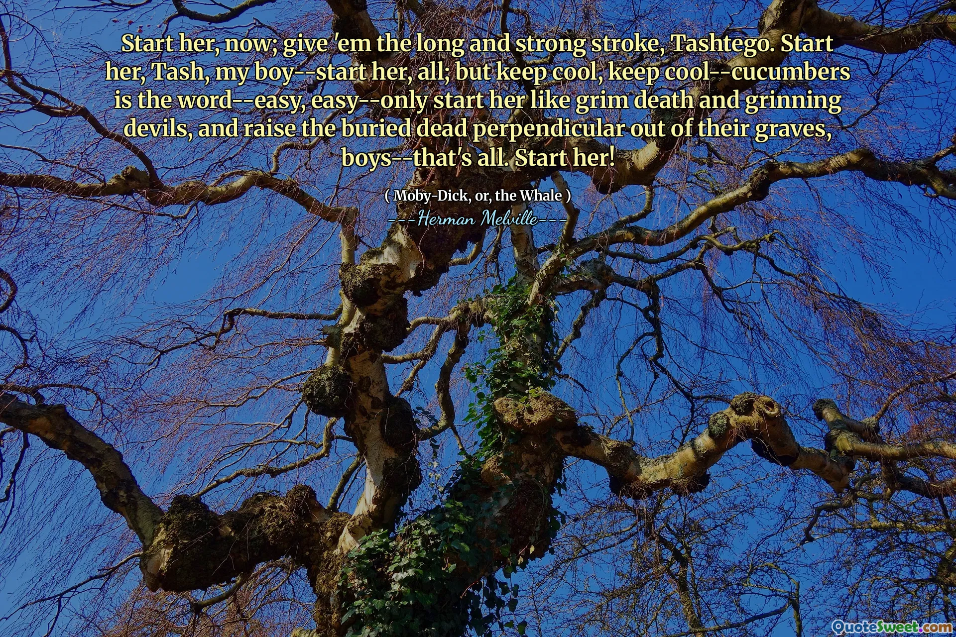 Start her, now; give 'em the long and strong stroke, Tashtego. Start her, Tash, my boy--start her, all; but keep cool, keep cool--cucumbers is the word--easy, easy--only start her like grim death and grinning devils, and raise the buried dead perpendicular out of their graves, boys--that's all. Start her!
