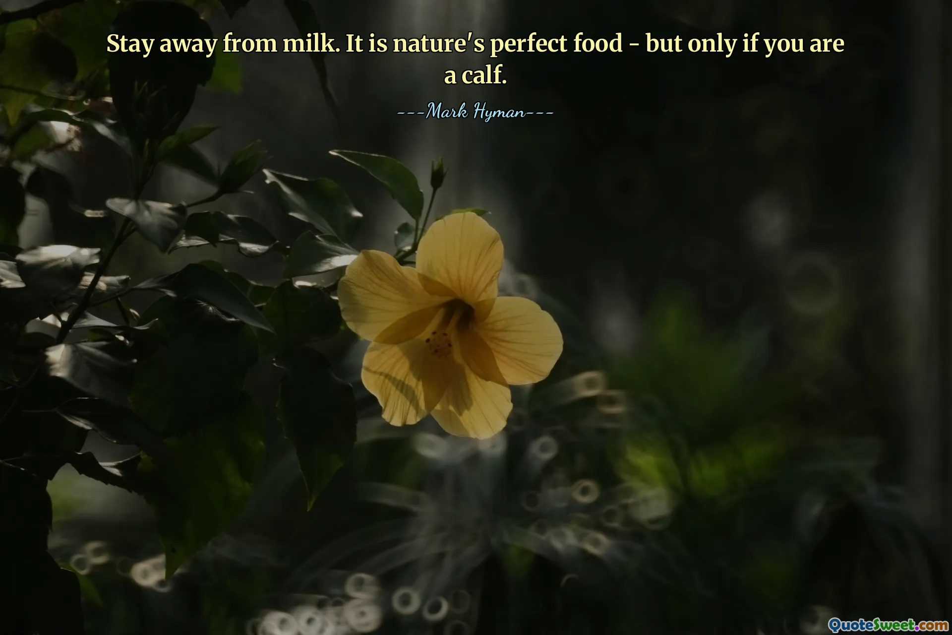 Stay away from milk. It is nature's perfect food - but only if you are a calf.