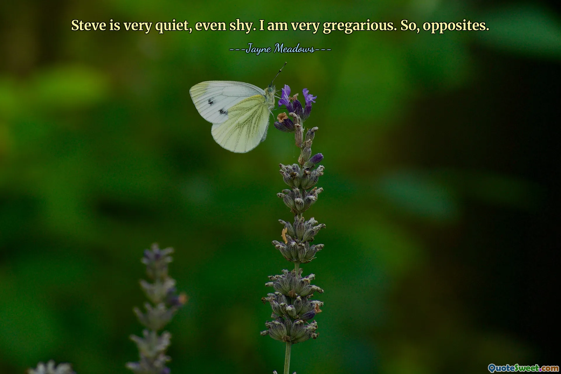 Steve is very quiet, even shy. I am very gregarious. So, opposites.