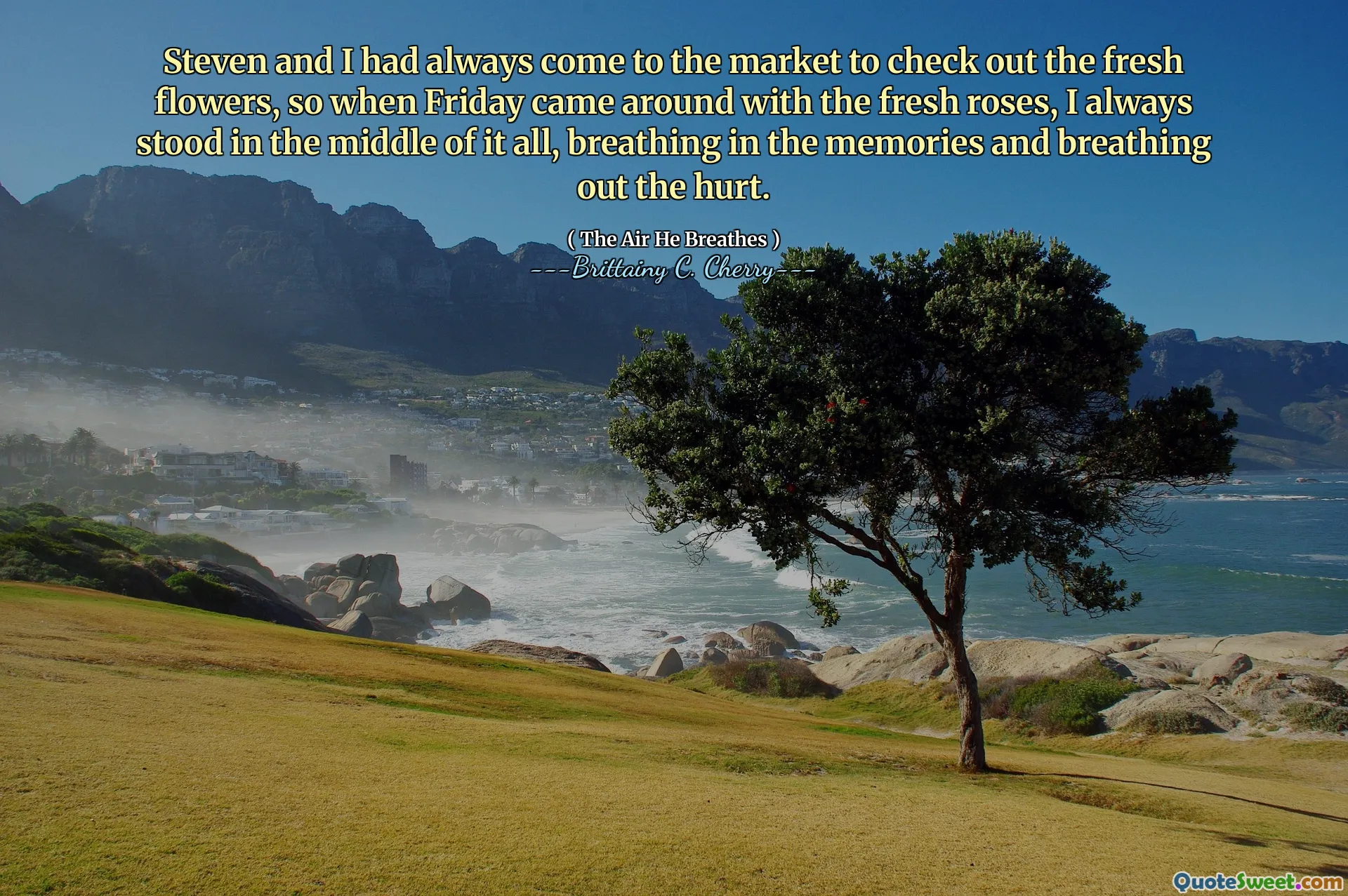 Steven and I had always come to the market to check out the fresh flowers, so when Friday came around with the fresh roses, I always stood in the middle of it all, breathing in the memories and breathing out the hurt.