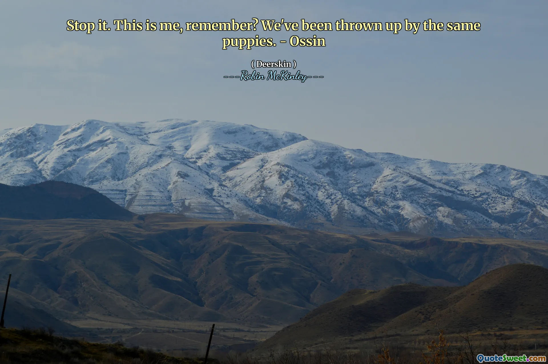 Stop it. This is me, remember? We've been thrown up by the same puppies. - Ossin