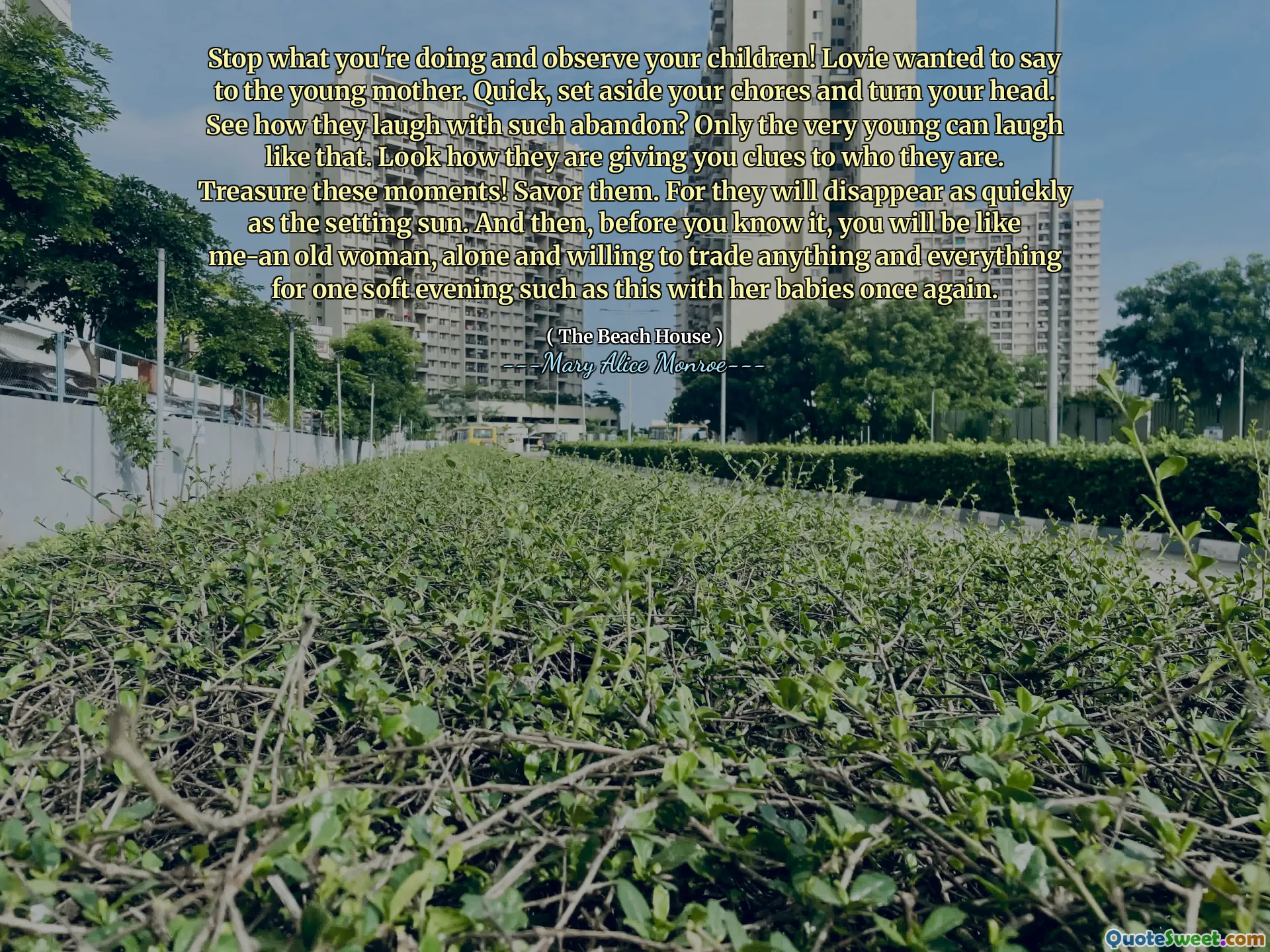 停止正在做的事情，观察孩子！ Lovie想对年轻的母亲说。快速，搁置您的琐事，转过头。看到他们如何被如此抛弃？只有很小的年轻才能那样笑。看看他们如何为您提供有关自己的身份的线索。珍惜这些时刻！品尝他们。因为它们将像落山一样快地消失。然后，在您不知不觉中，您将像我一个老妇人一样，独自一人，愿意与婴儿再次交易一个柔软的夜晚。