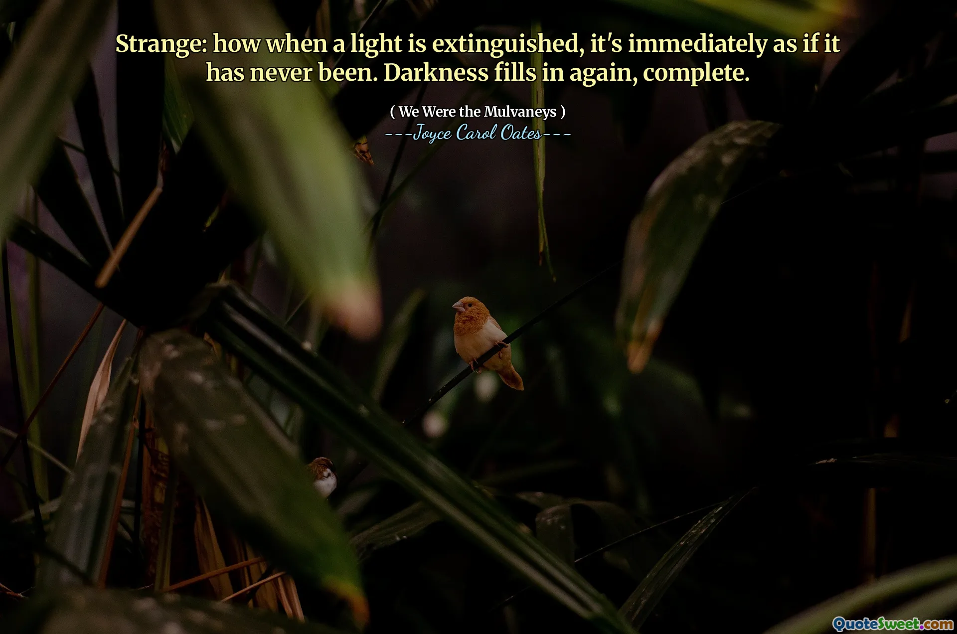 Strange: how when a light is extinguished, it's immediately as if it has never been. Darkness fills in again, complete.