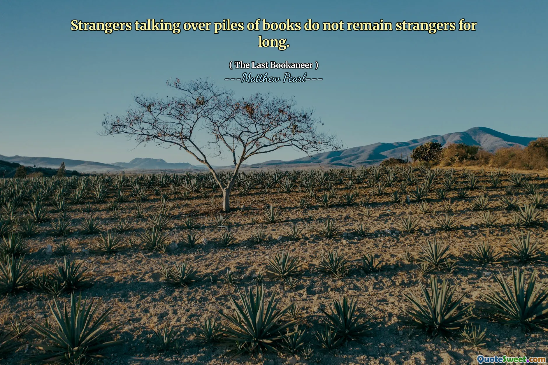 Strangers talking over piles of books do not remain strangers for long.