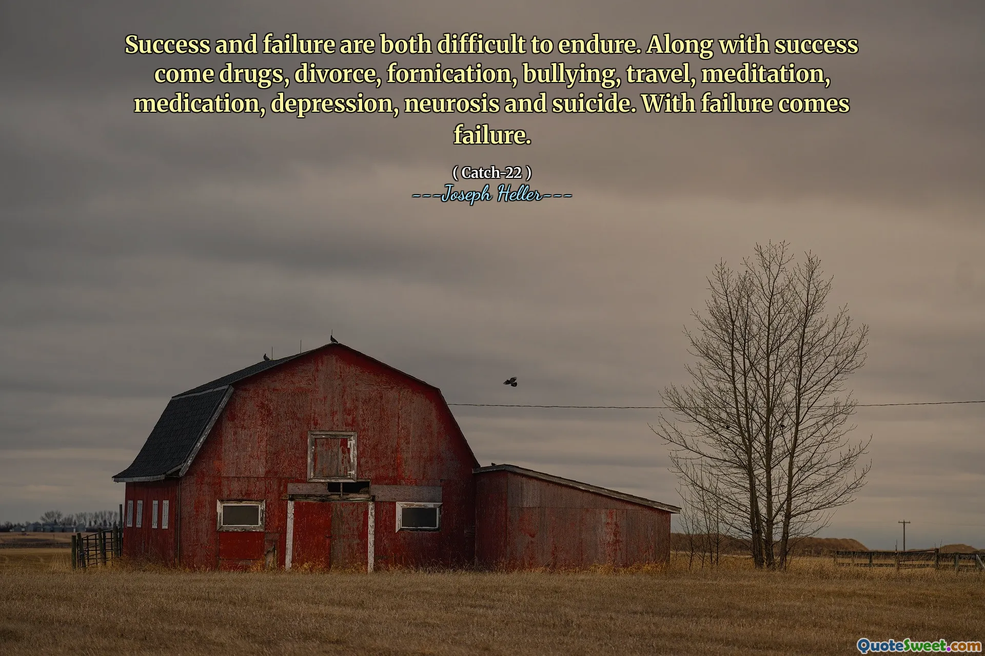 Успех и неудача трудно выдержать. Наряду с успехом приходят лекарства, развод, блуд, издевательства, путешествия, медитация, лекарства, депрессия, невроз и самоубийство. С неудачей приходит неудача.