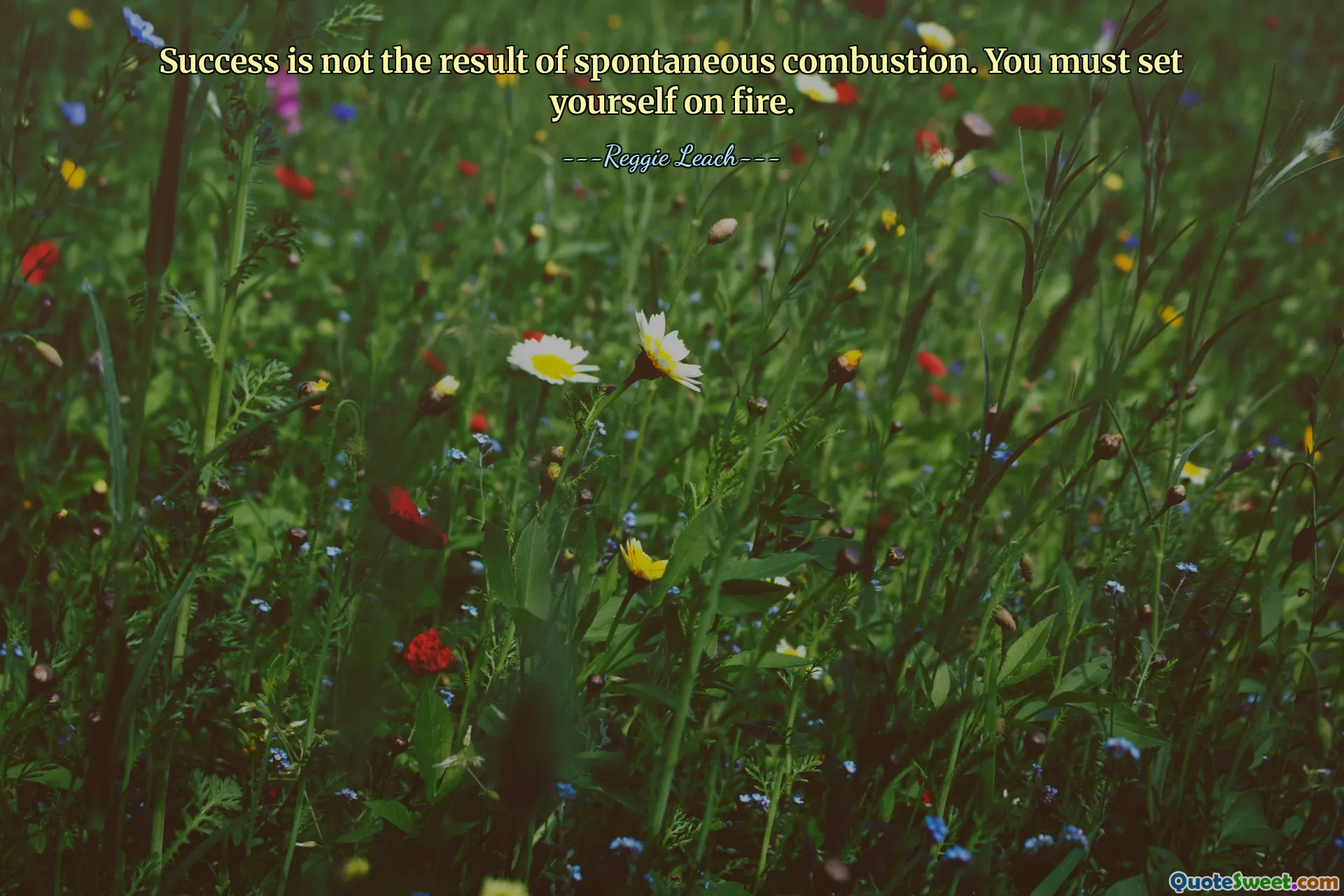 Success is not the result of spontaneous combustion. You must set yourself on fire.