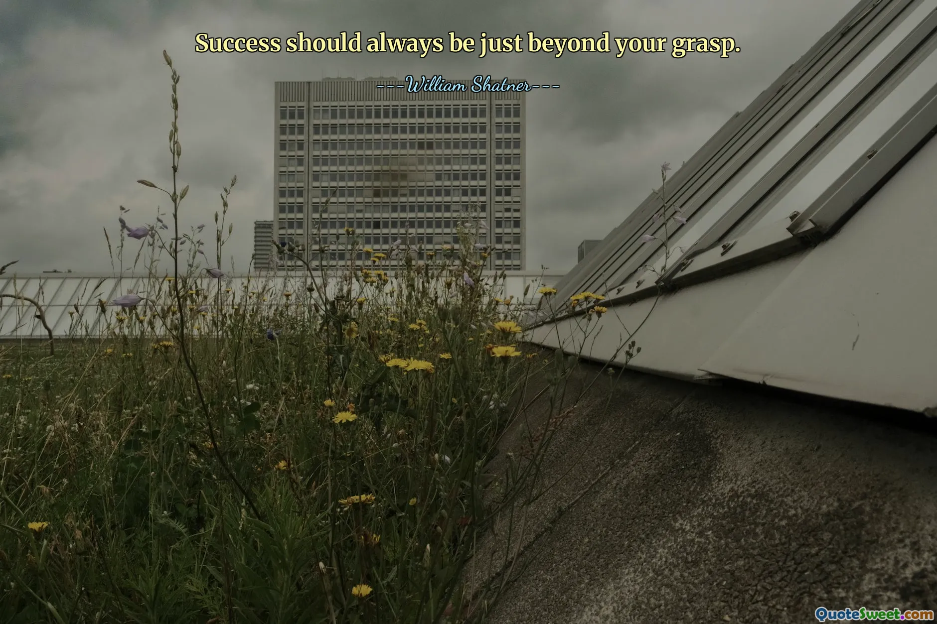 Success should always be just beyond your grasp.