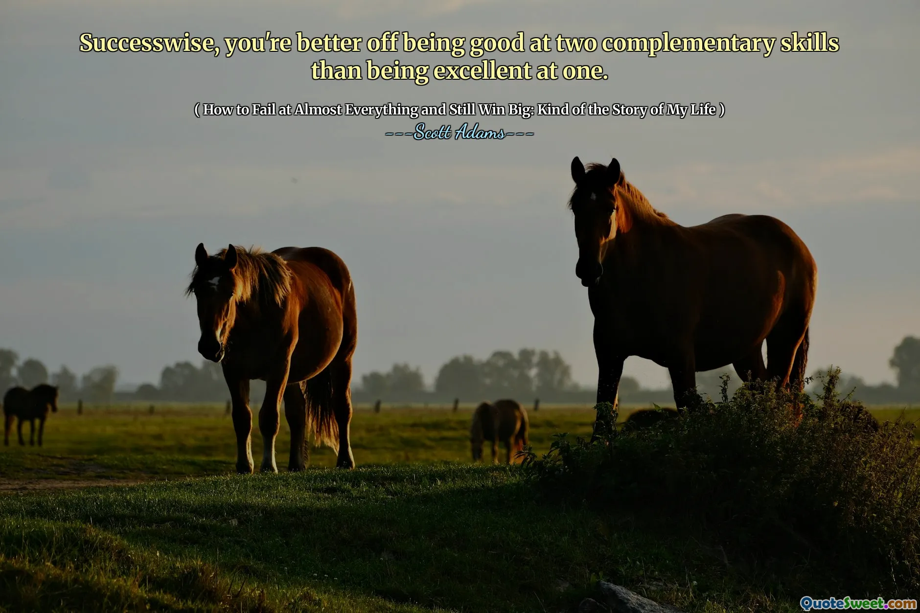 Successwise, you're better off being good at two complementary skills than being excellent at one.