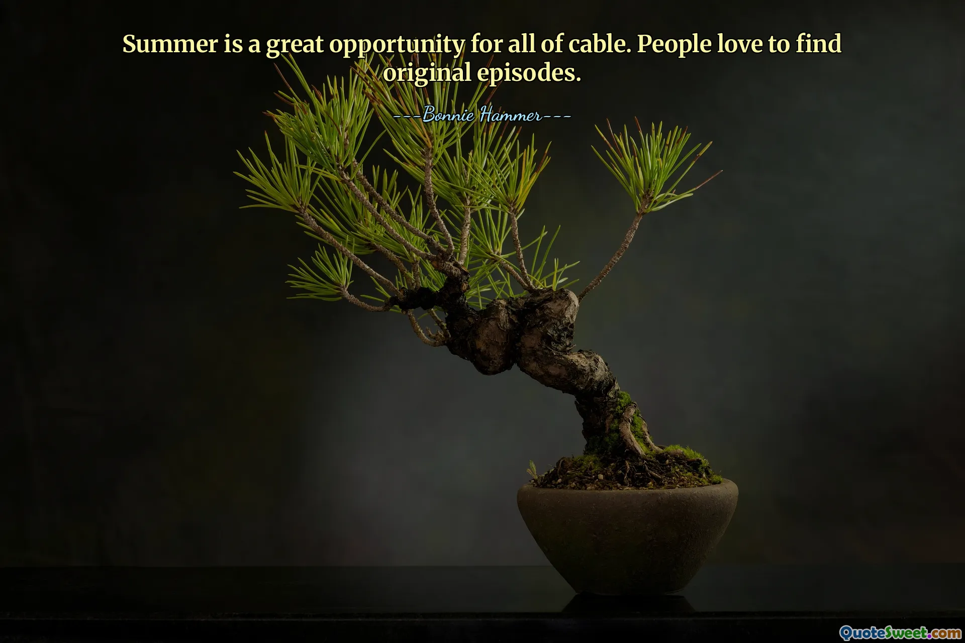 Summer is a great opportunity for all of cable. People love to find original episodes.