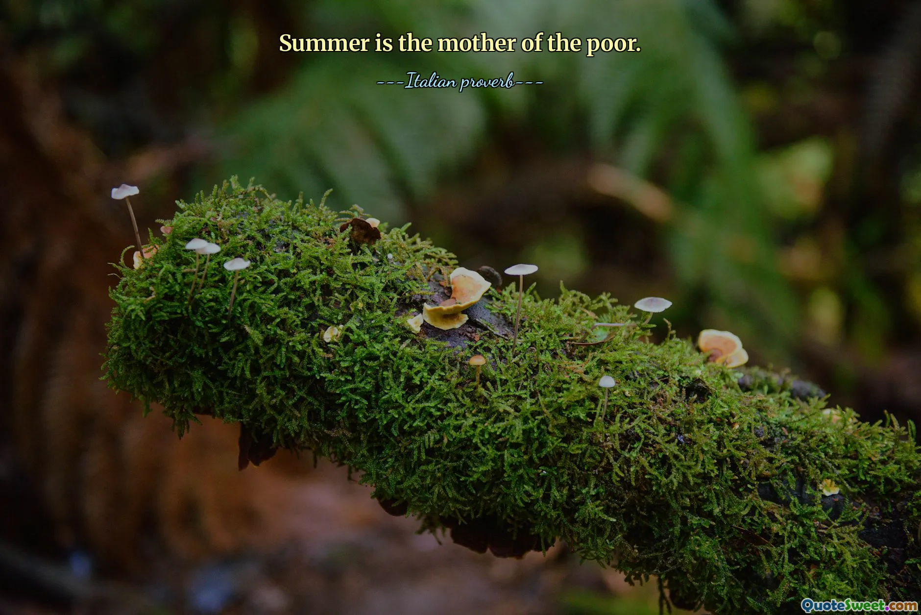 Summer is the mother of the poor.