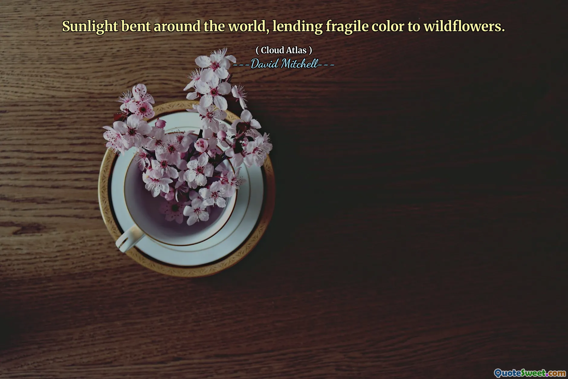 Sunlight bent around the world, lending fragile color to wildflowers.