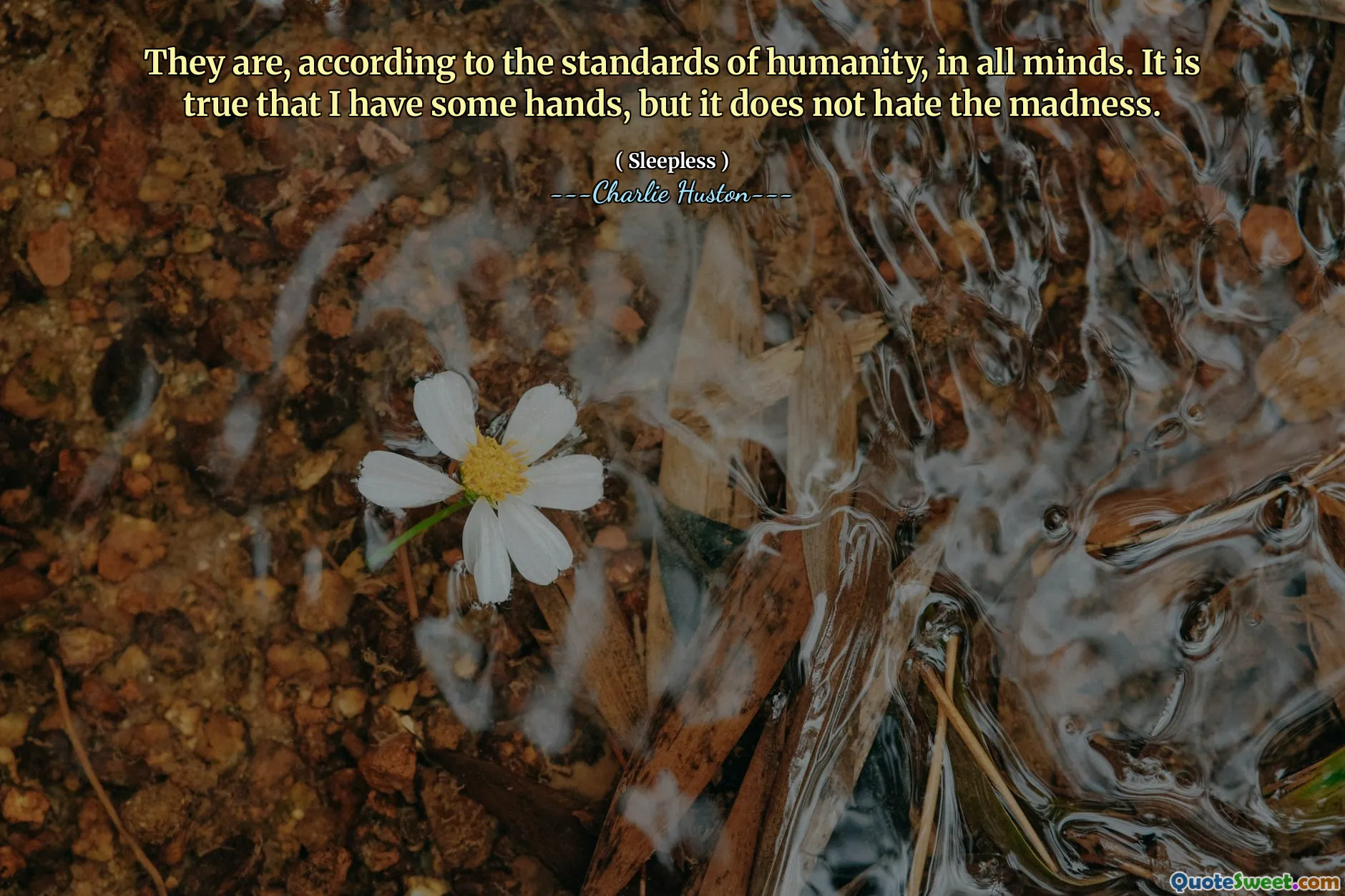 Son, de acuerdo con los estándares de la humanidad, en todas las mentes. Es cierto que tengo algunas manos, pero no odia la locura.