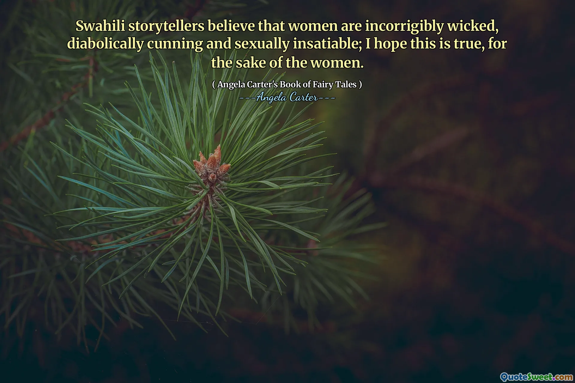 Swahili storytellers believe that women are incorrigibly wicked, diabolically cunning and sexually insatiable; I hope this is true, for the sake of the women.