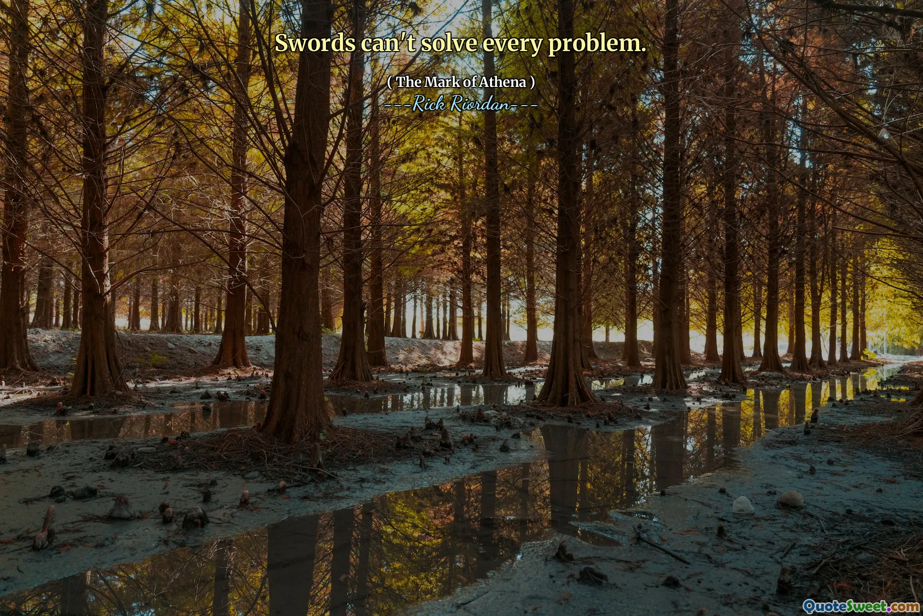 Swords can't solve every problem.