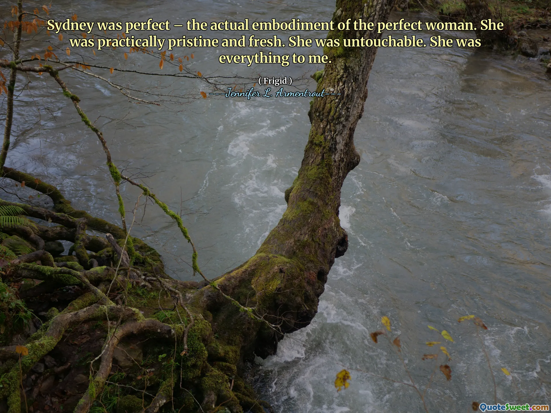 Sydney was perfect – the actual embodiment of the perfect woman. She was practically pristine and fresh. She was untouchable. She was everything to me.