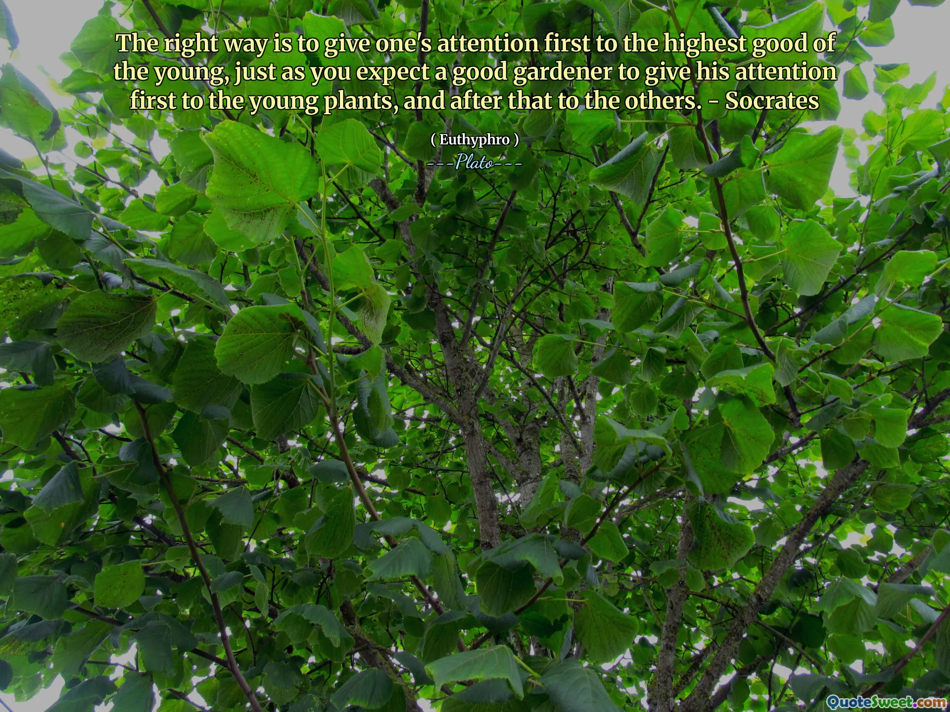The right way is to give one's attention first to the highest good of the young, just as you expect a good gardener to give his attention first to the young plants, and after that to the others. - Socrates