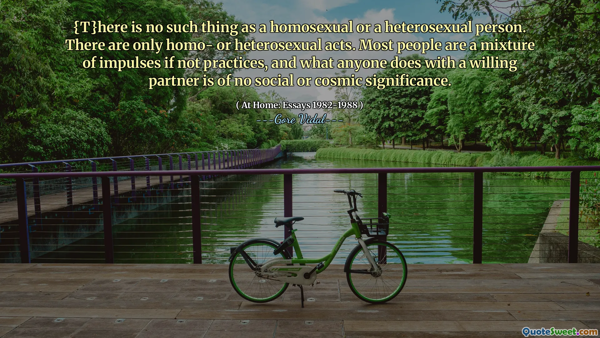 {T}here is no such thing as a homosexual or a heterosexual person. There are only homo- or heterosexual acts. Most people are a mixture of impulses if not practices, and what anyone does with a willing partner is of no social or cosmic significance.