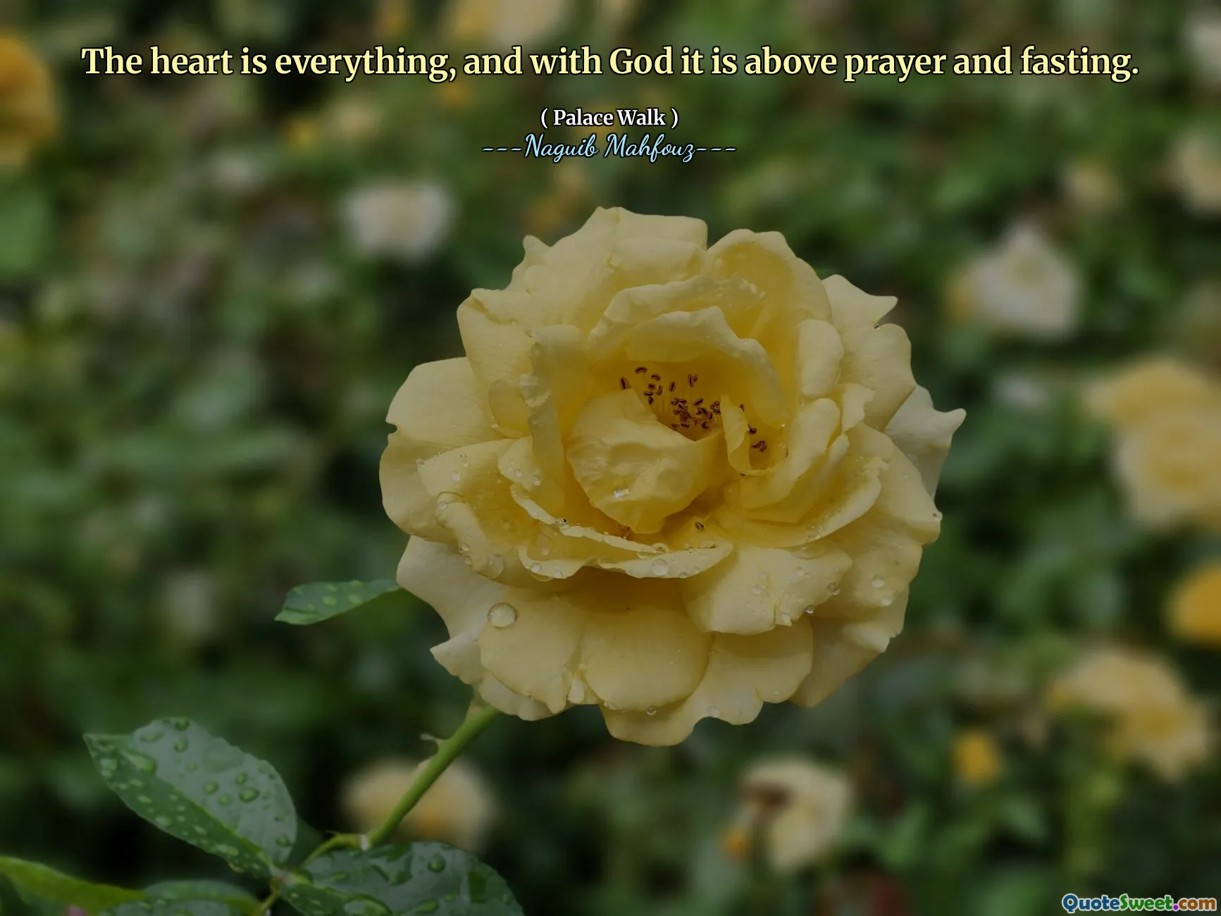 القلب هو كل شيء ، ومع الله فوق الصلاة والصيام.