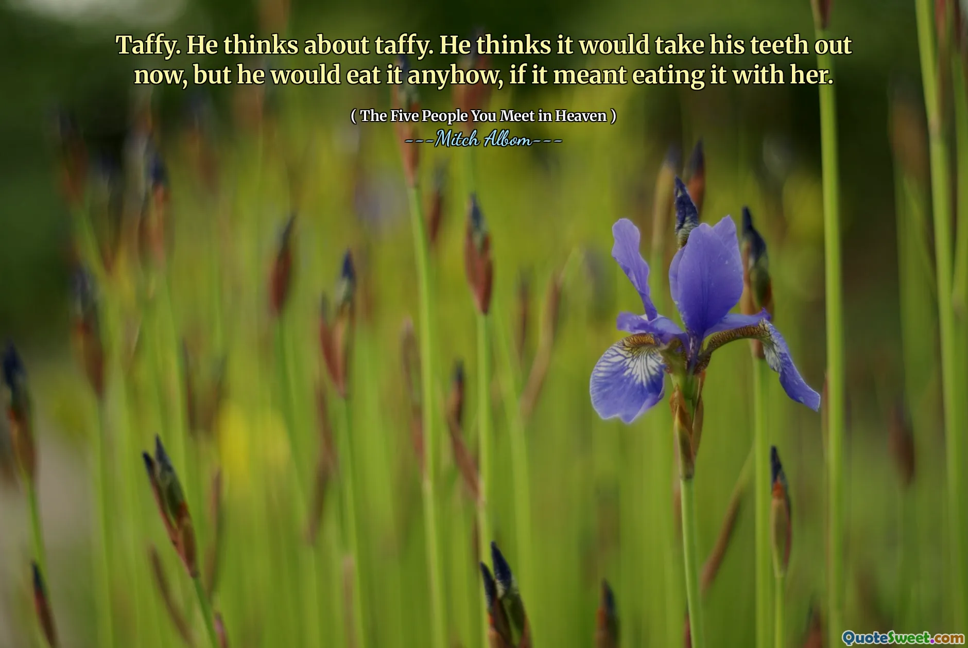 Taffy. He thinks about taffy. He thinks it would take his teeth out now, but he would eat it anyhow, if it meant eating it with her.
