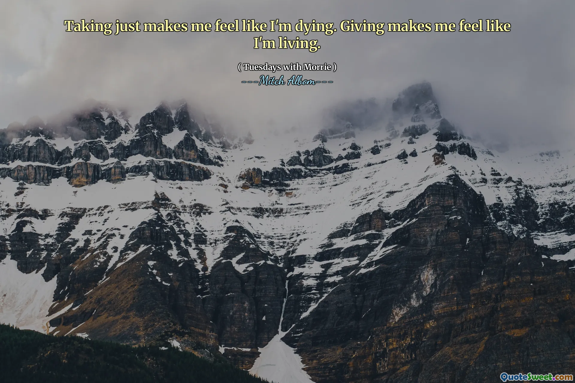 Wenn ich nur das Gefühl habe, sterbe ich. Geben lässt mich das Gefühl haben, dass ich lebe.