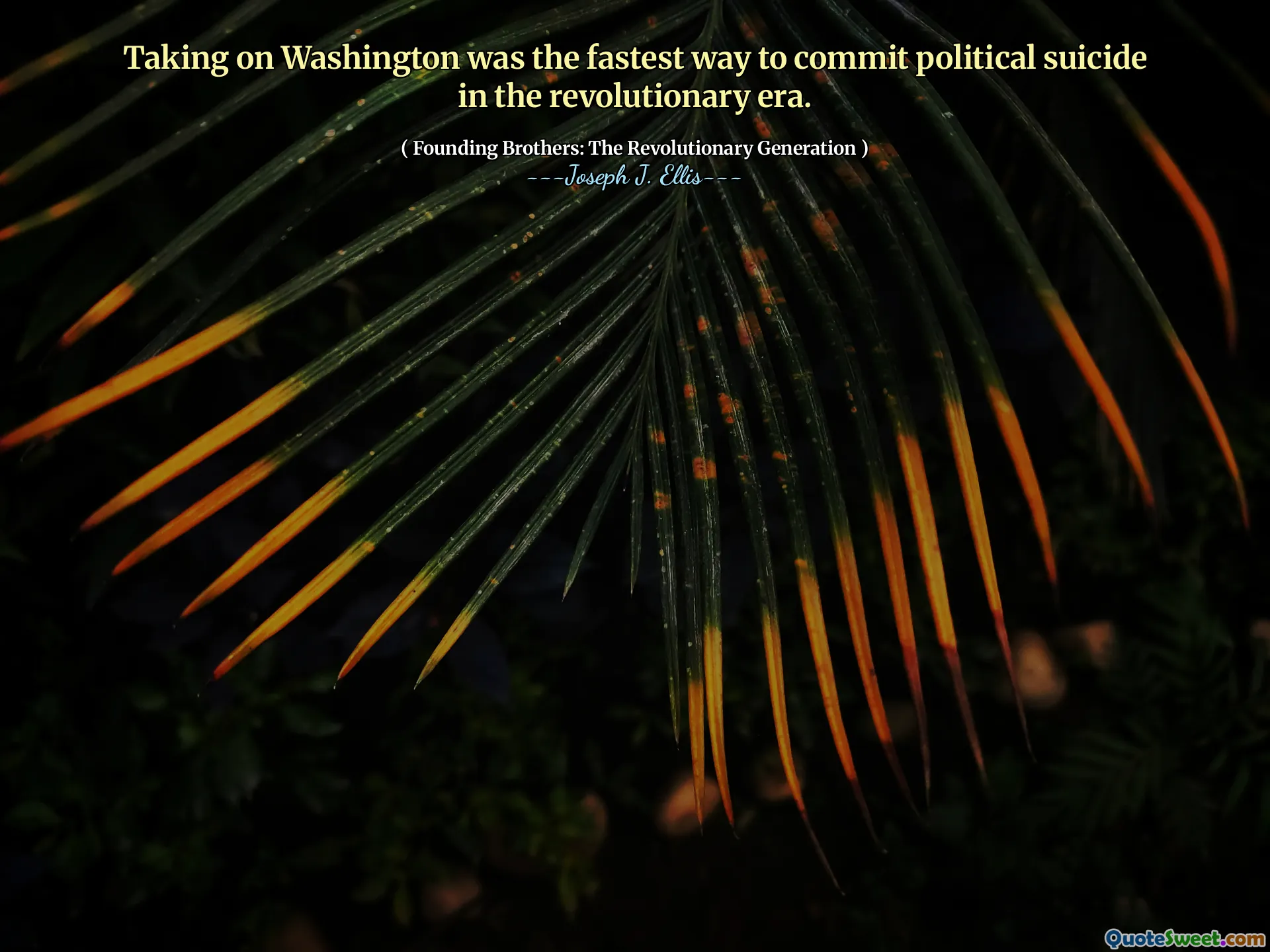 워싱턴을 타는 것은 혁명 시대에 정치 자살을 저지르는 가장 빠른 방법이었습니다.