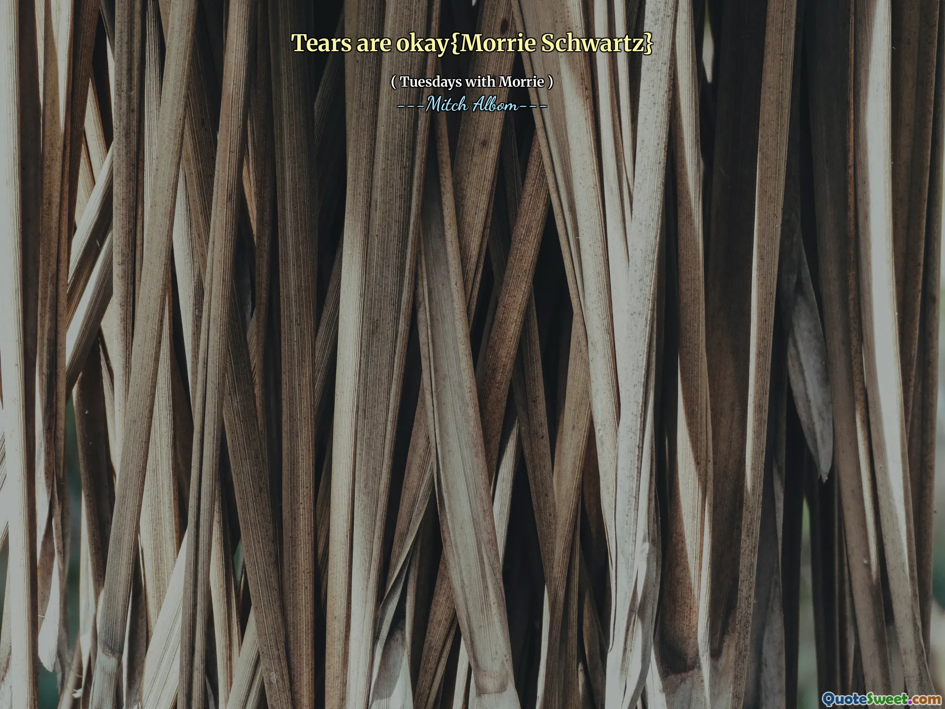 Tears are okay{Morrie Schwartz}