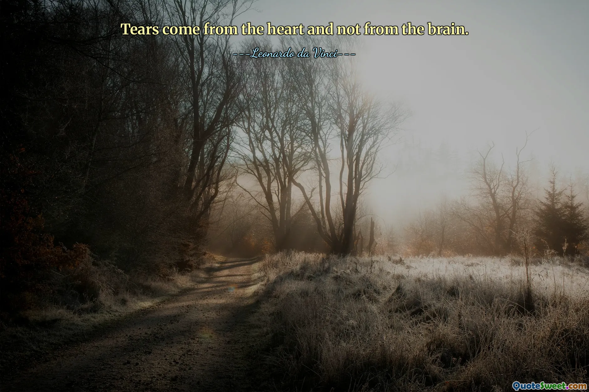 Slzy vycházejí ze srdce a ne z mozku.